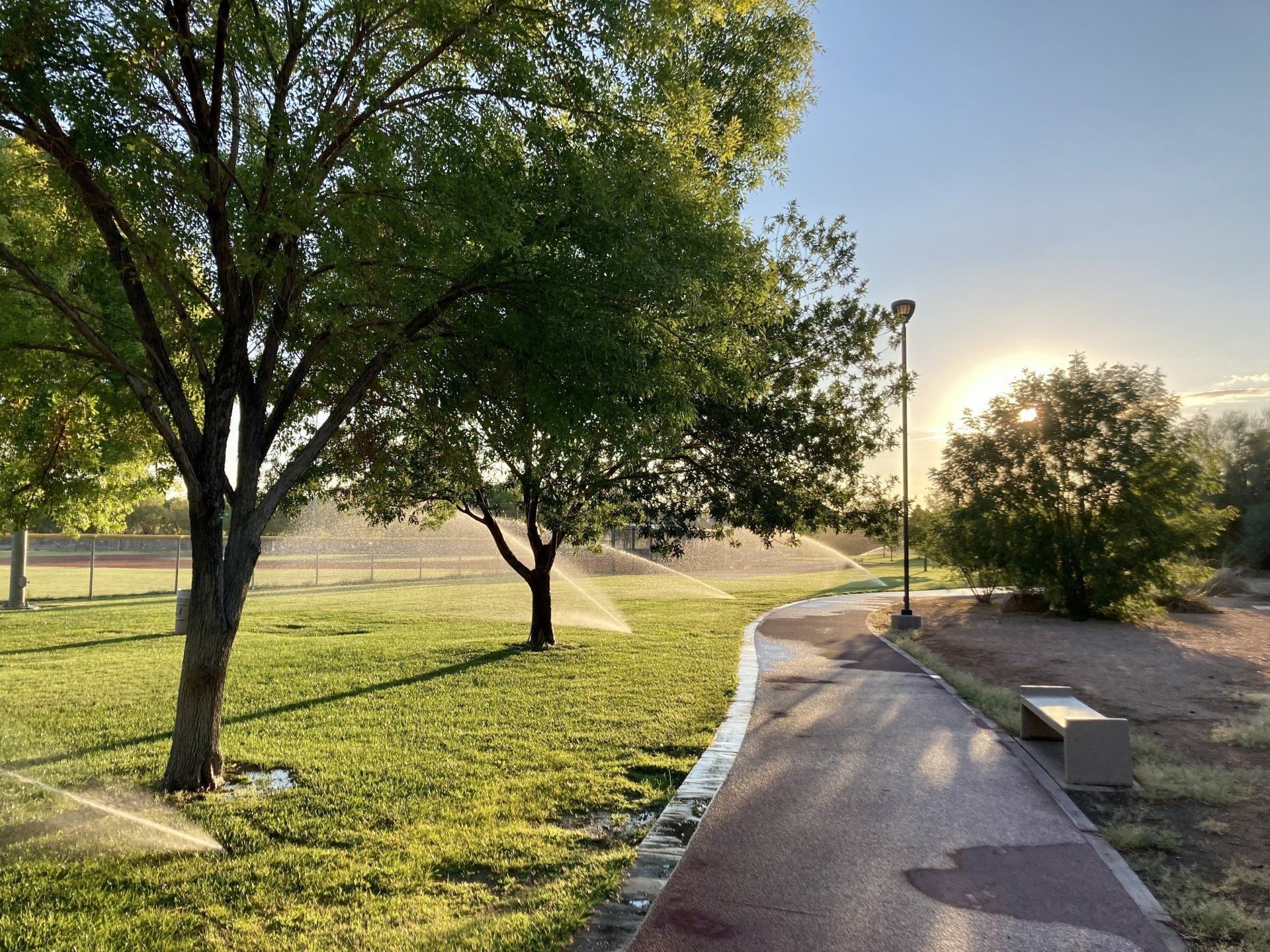 A path in a park with trees and sprinklers