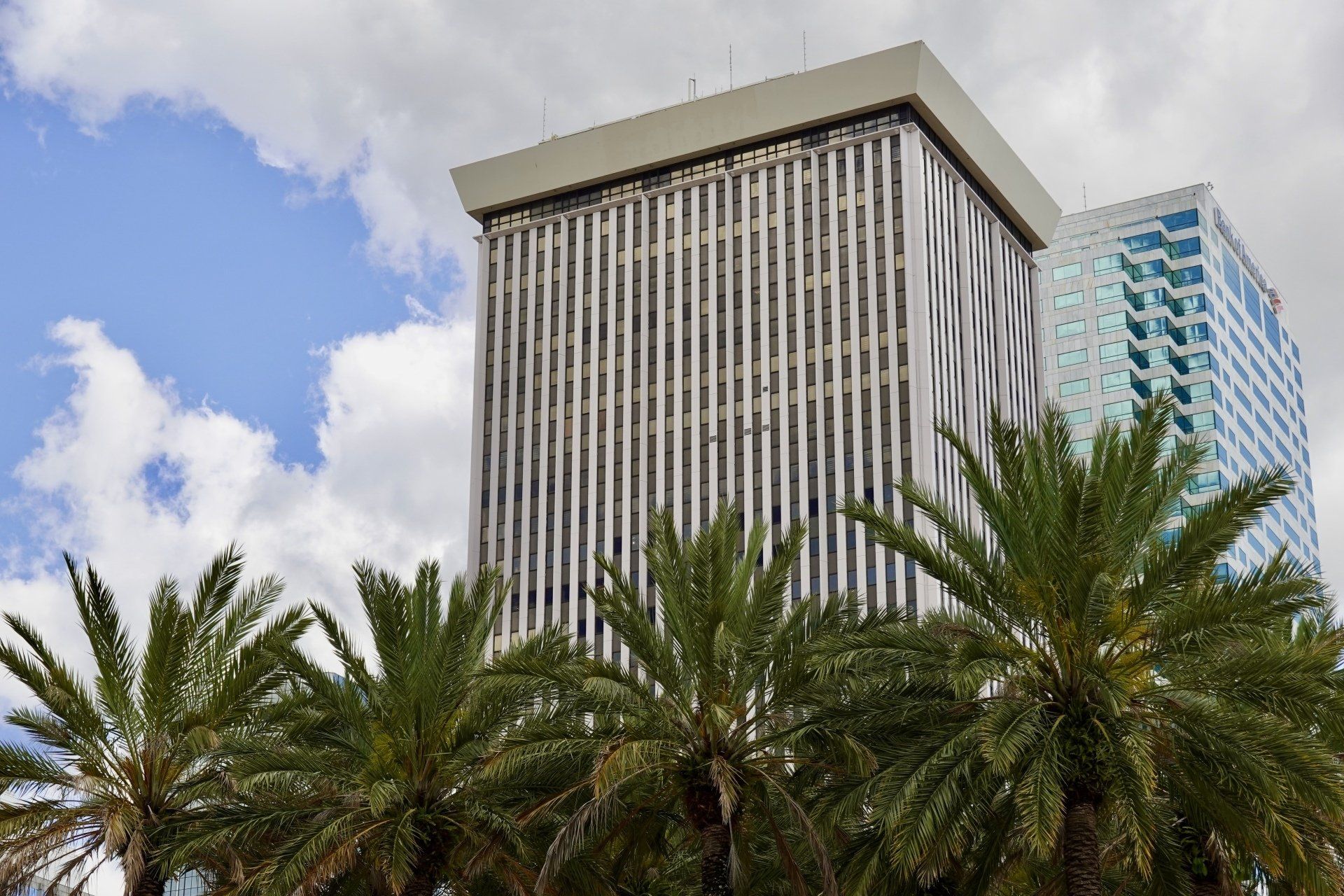 Tall office buildings with vertical lines, partially obscured by palm trees, under a blue sky with white clouds.