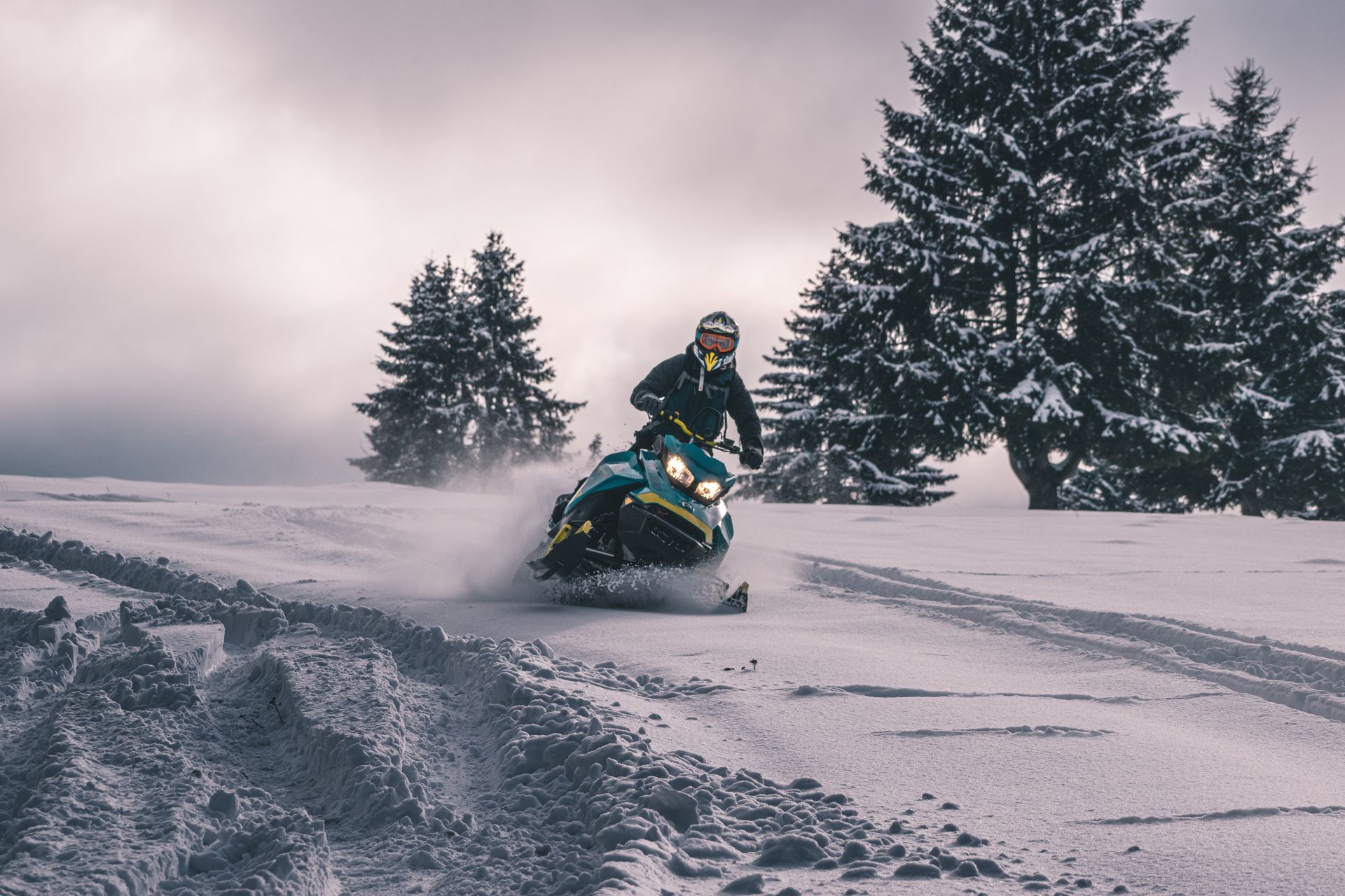 Person snowmobiling during the day past evergreen trees