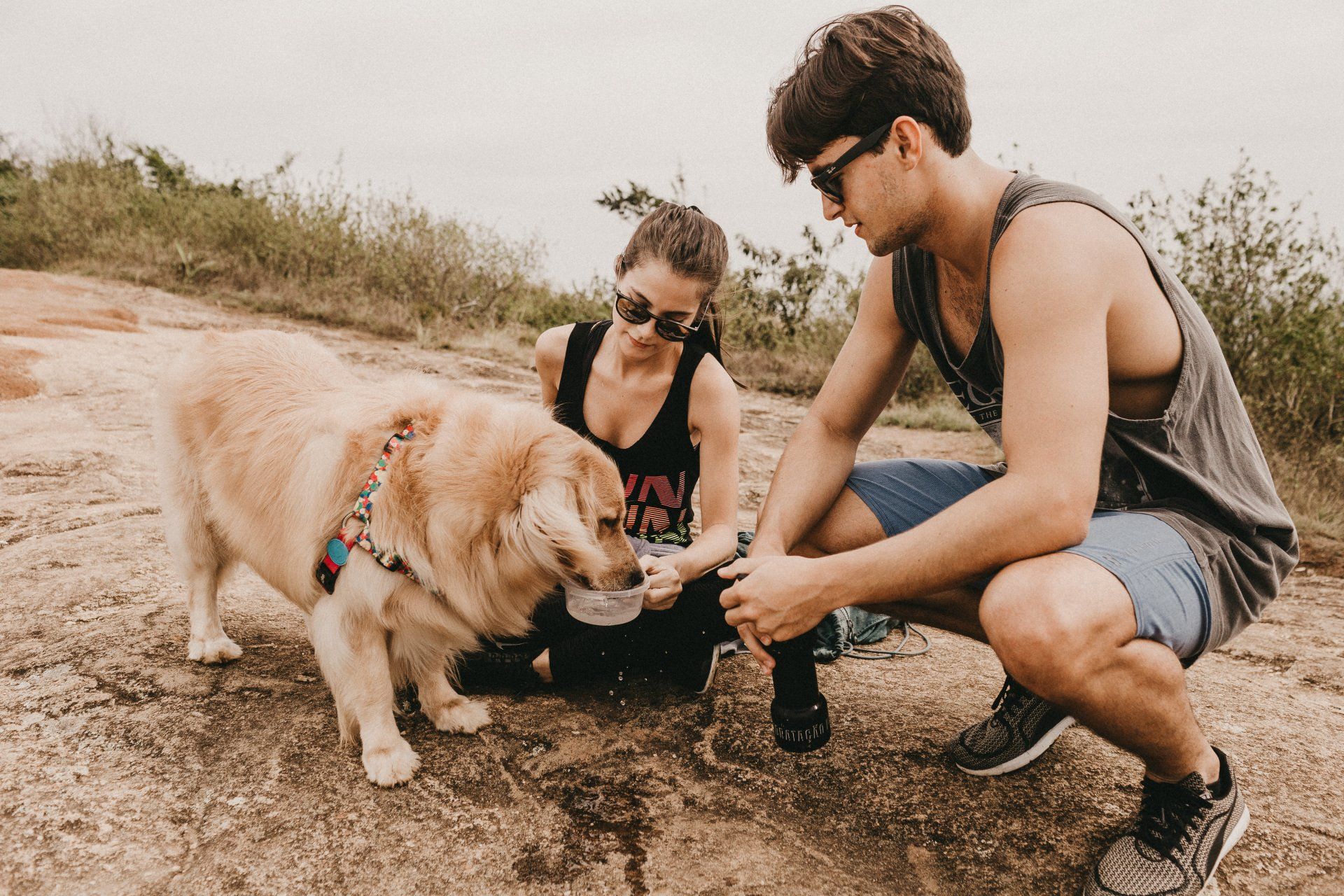 Dog drinking water with owners