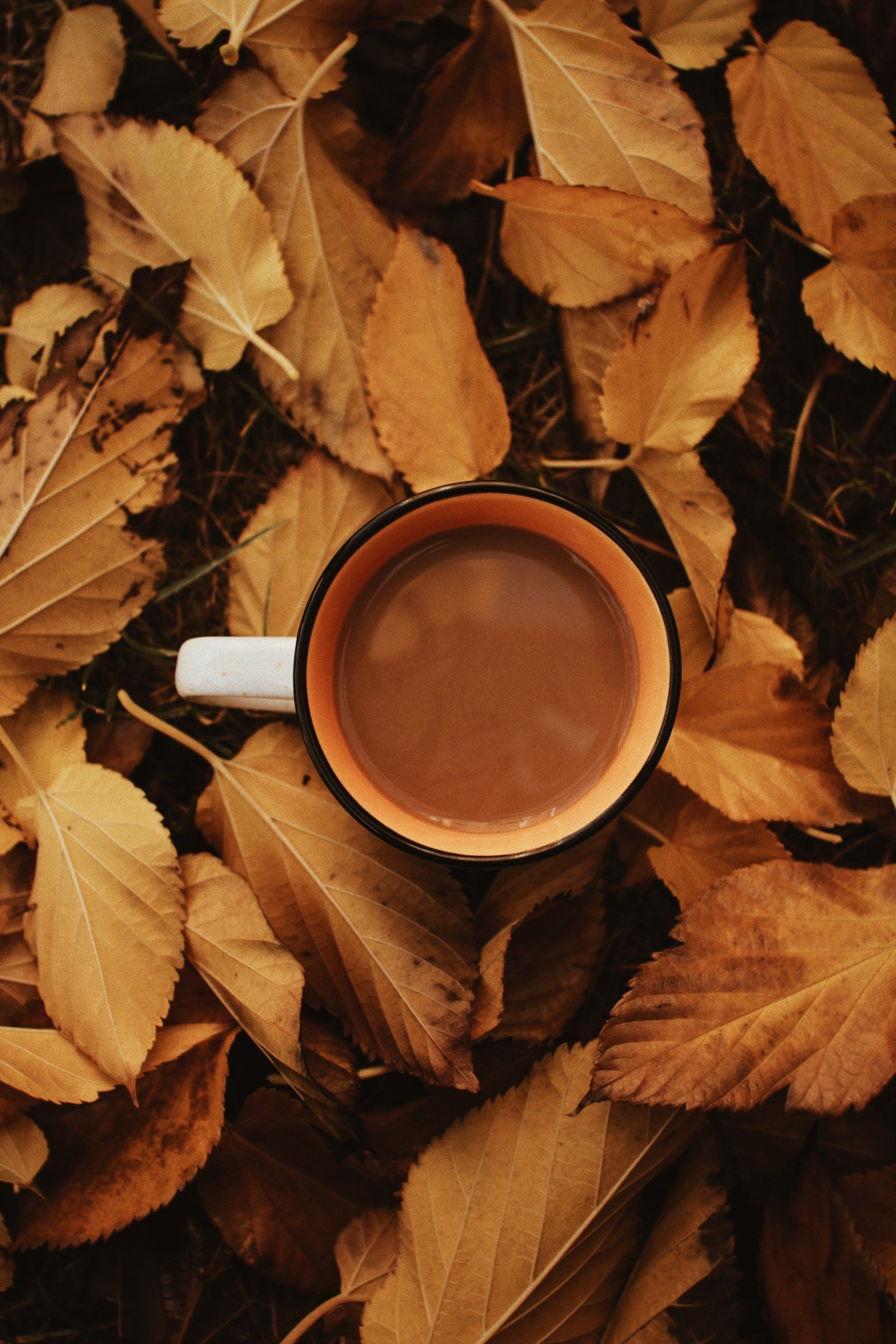 A cup of coffee is sitting on top of a pile of leaves.