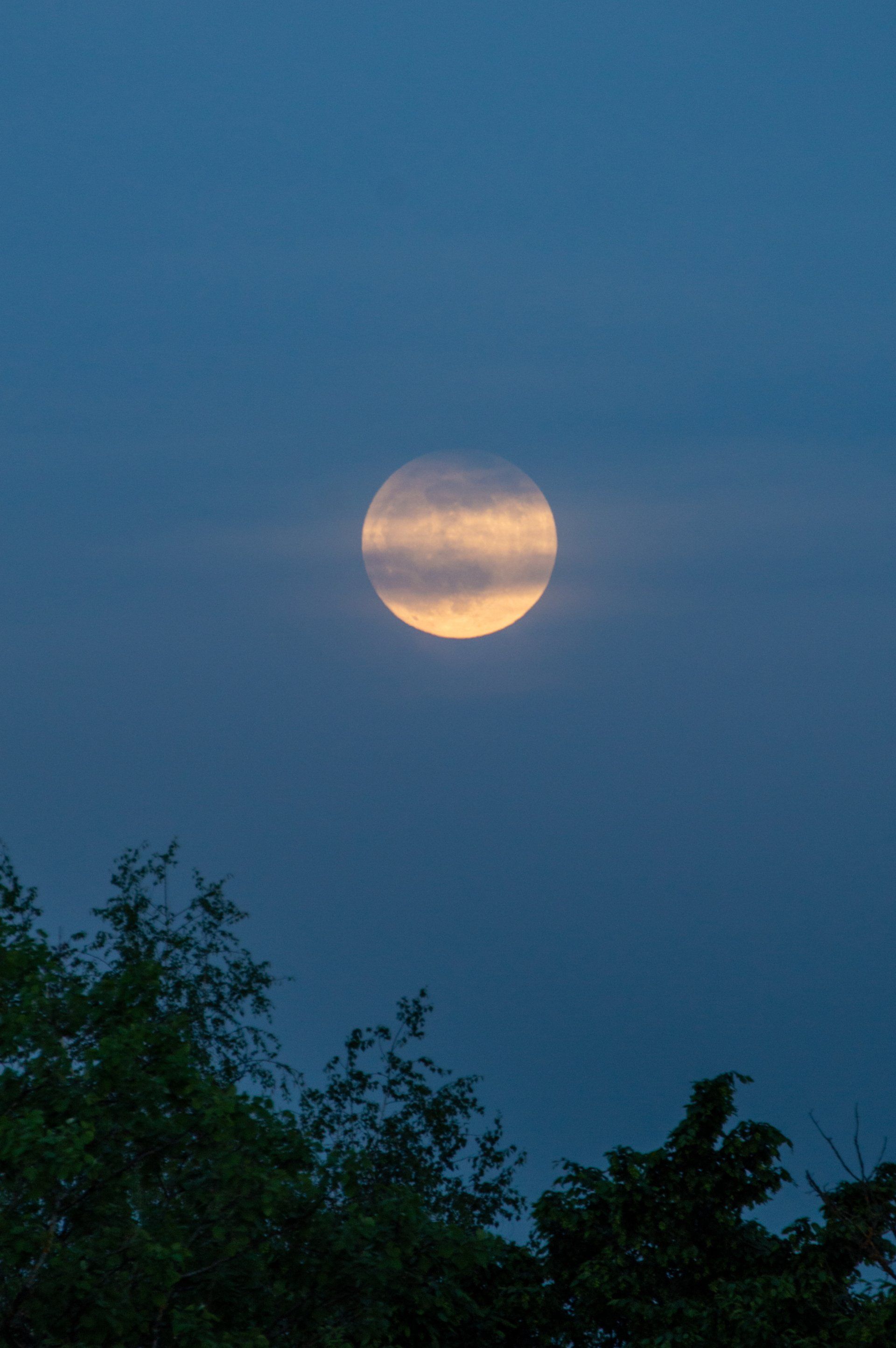 Full Pink Moon in Libra by Sue Cartwright, Spiral Leaf