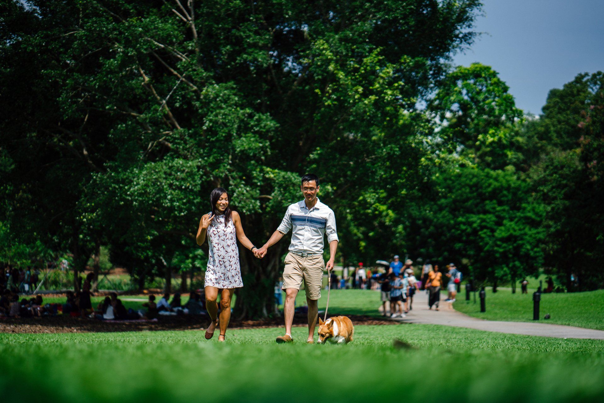 A man and a woman are walking a dog in a park.
