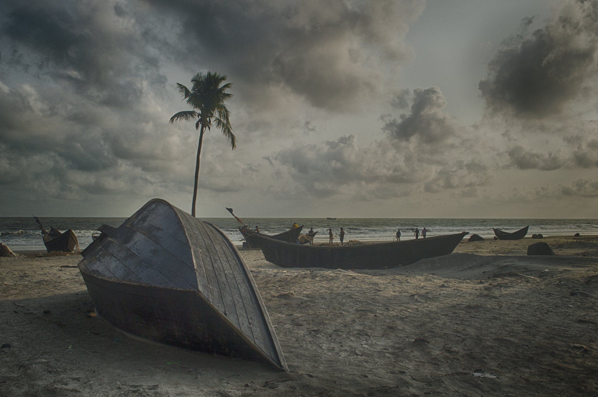 A boat is sitting on the beach next to a palm tree.