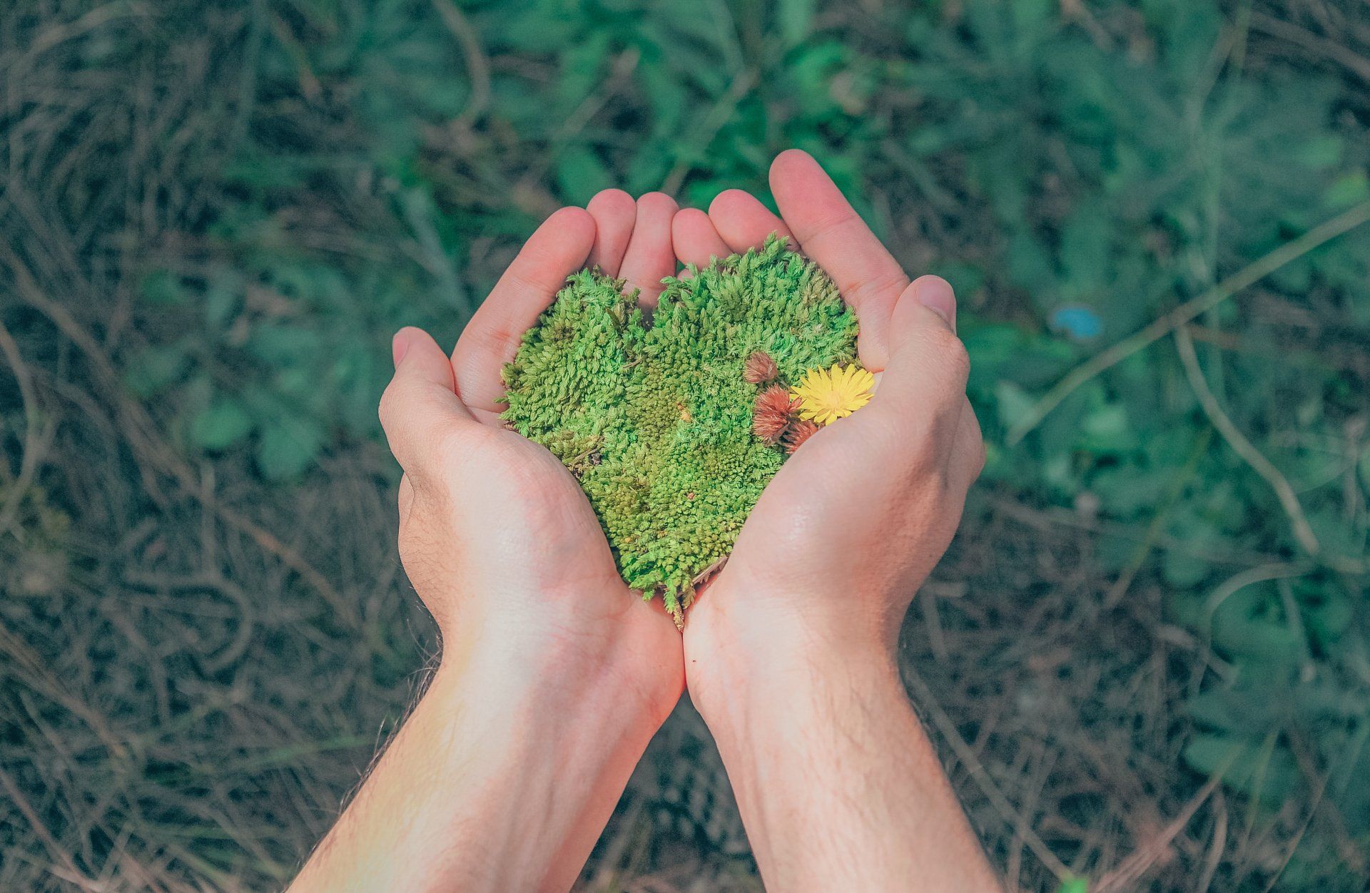 a person is holding a heart made of grass in their hands .