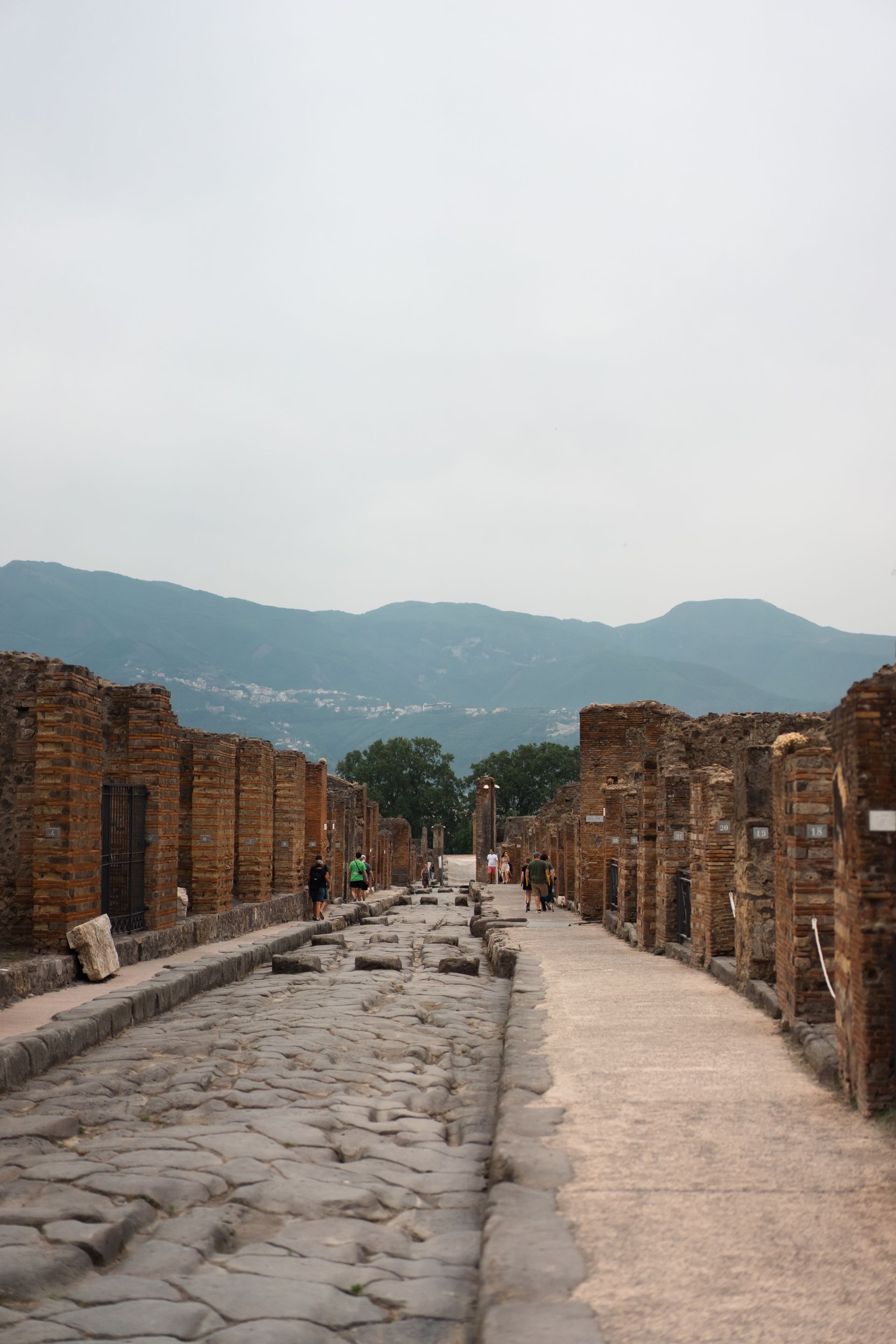 a stone road leading to a ruined city with mountains in the background .