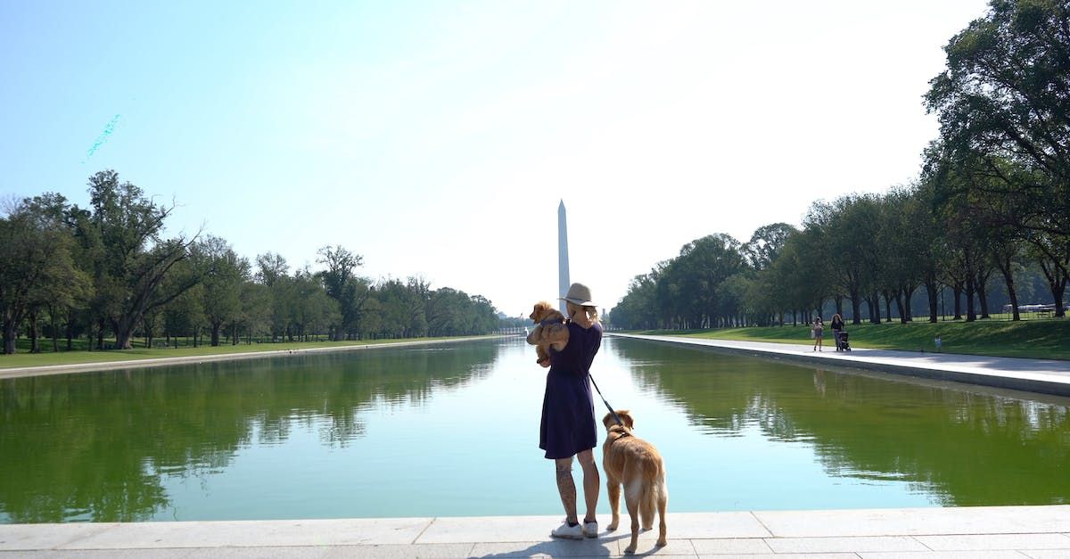 A woman and a dog are standing next to a body of water.