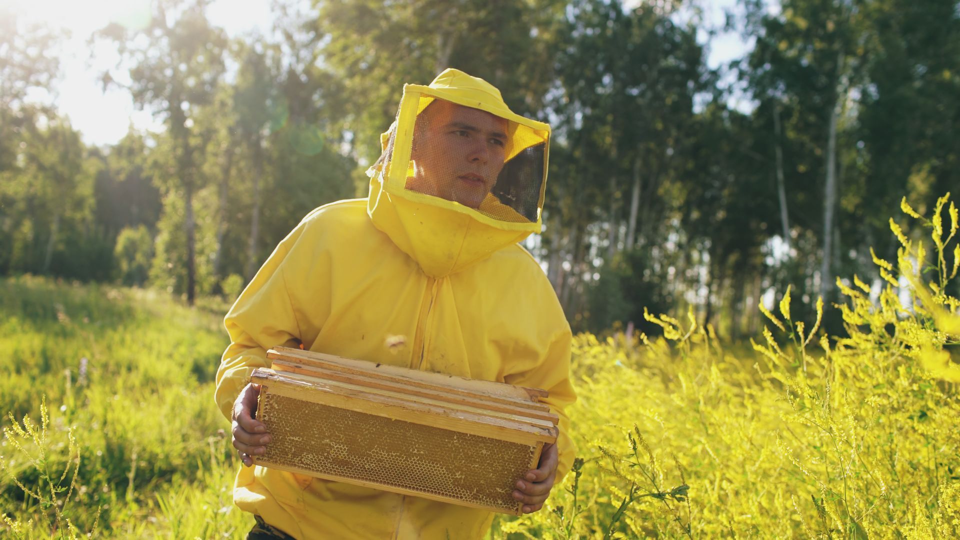 A beekeeper in a yellow suit is holding a honeycomb in a field.