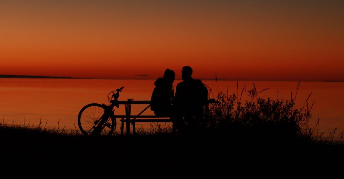 a couple is sitting on a bench next to a bicycle at sunset .