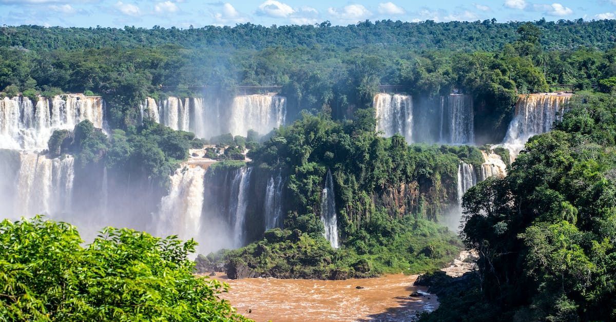 Iguazu falls  in the middle of a lush green forest surrounded by trees.