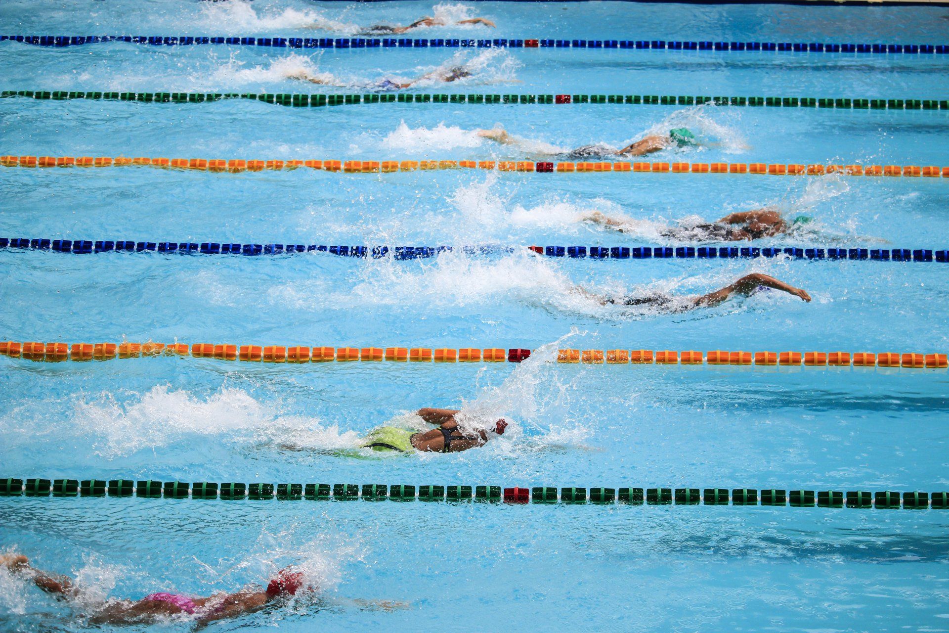swimmers racing in their lanes