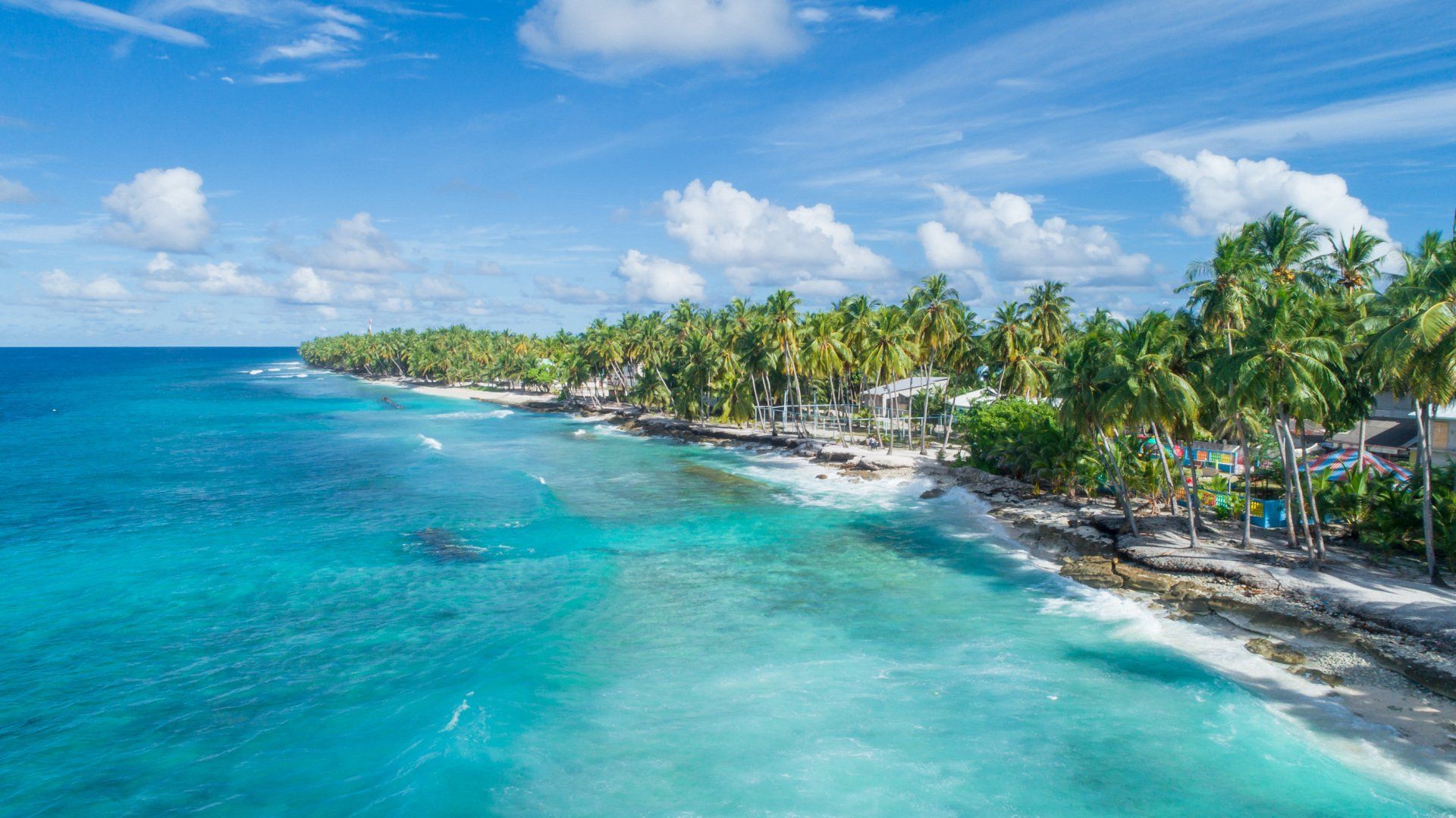 An aerial view of a tropical beach with palm trees and turquoise water.