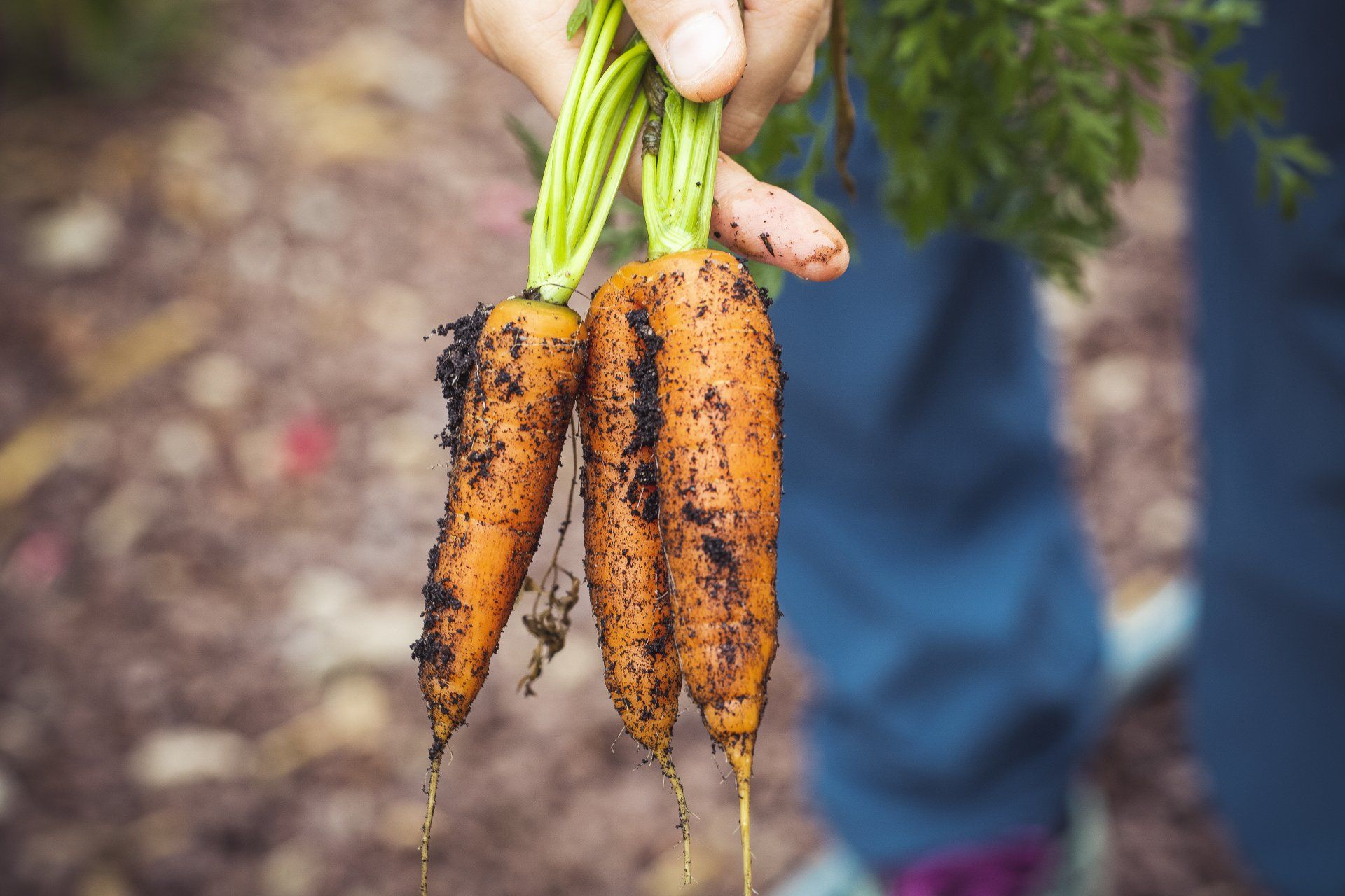 Secure your harvest with a term life insurance policy and never worry about Gods Plan again!