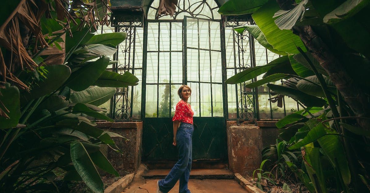 a woman is standing in a greenhouse surrounded by plants .