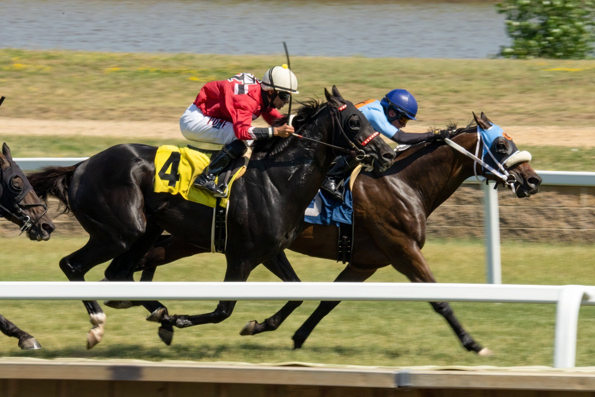 A group of horses are racing on a track.