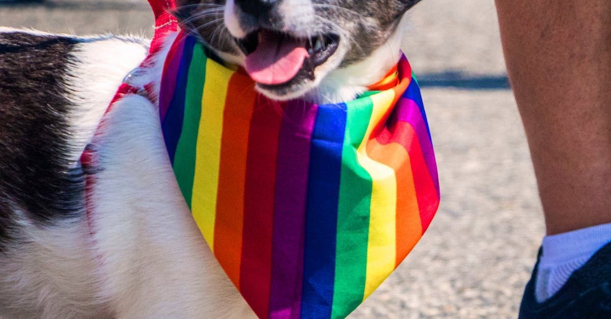 Red velvet theater seats in a dimly lit auditorium, with seat number 23 in the foreground