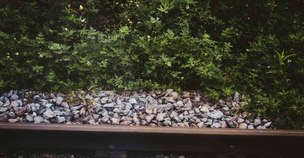 a train track with rocks and trees in the background .