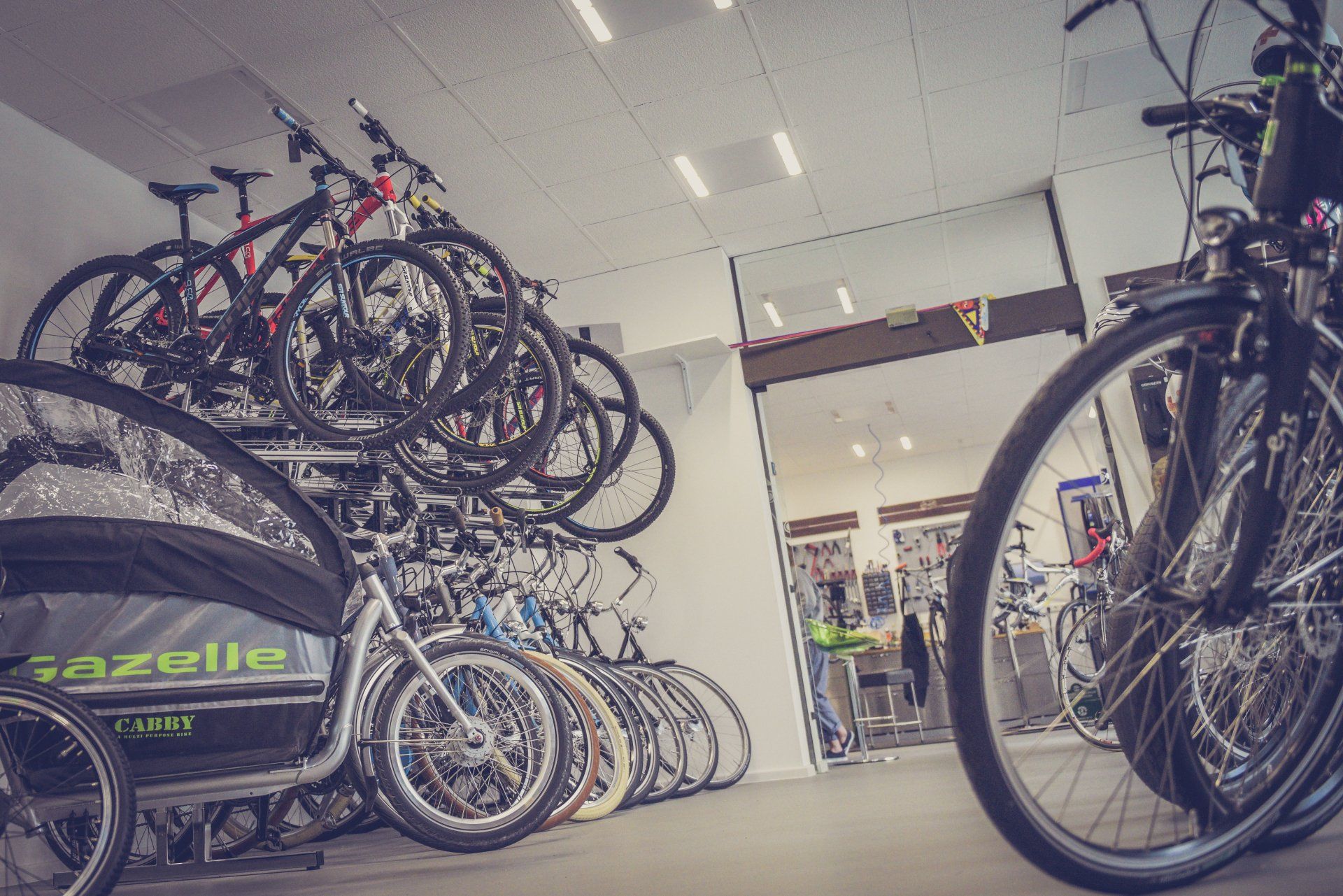 A row of bicycles are lined up in a store.