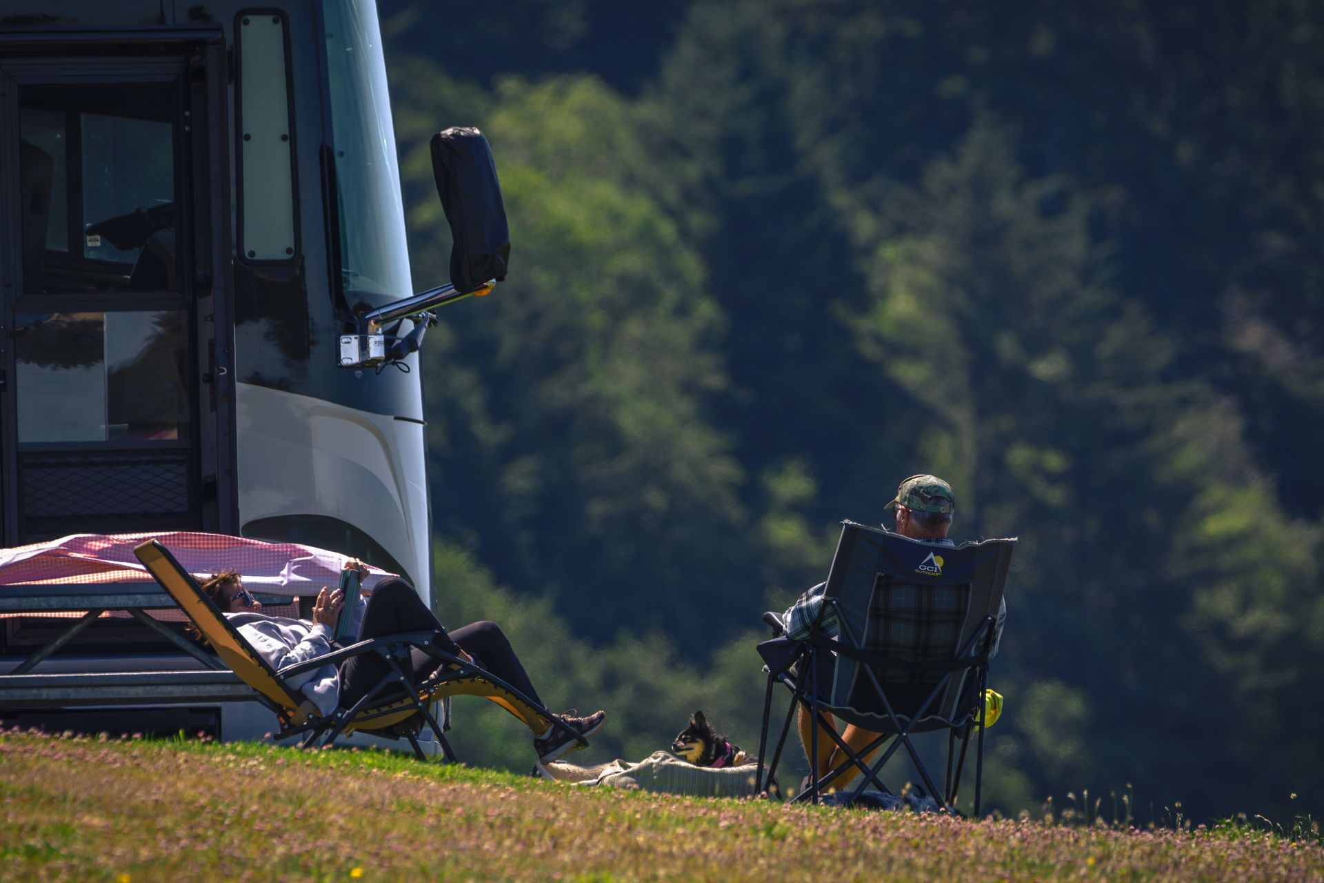 A group of rvs are parked in a field with mountains in the background.