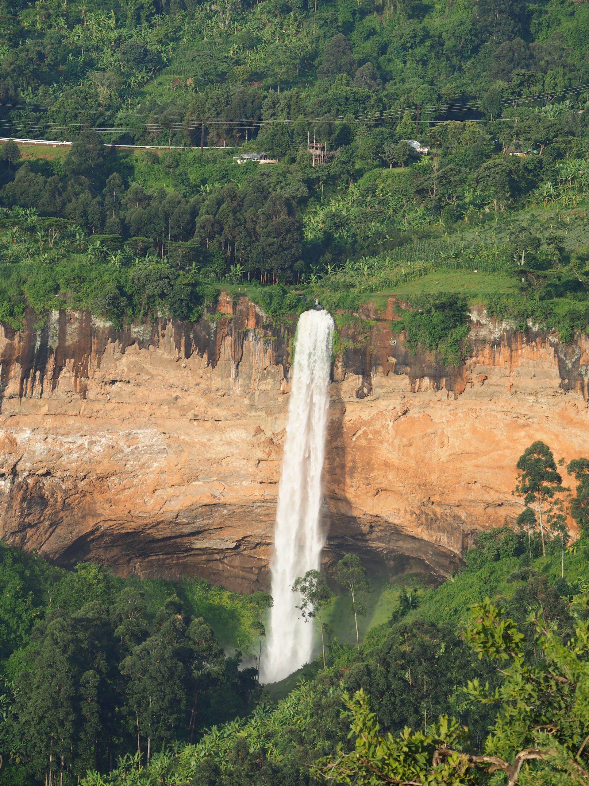 A waterfall in the middle of a lush green forest