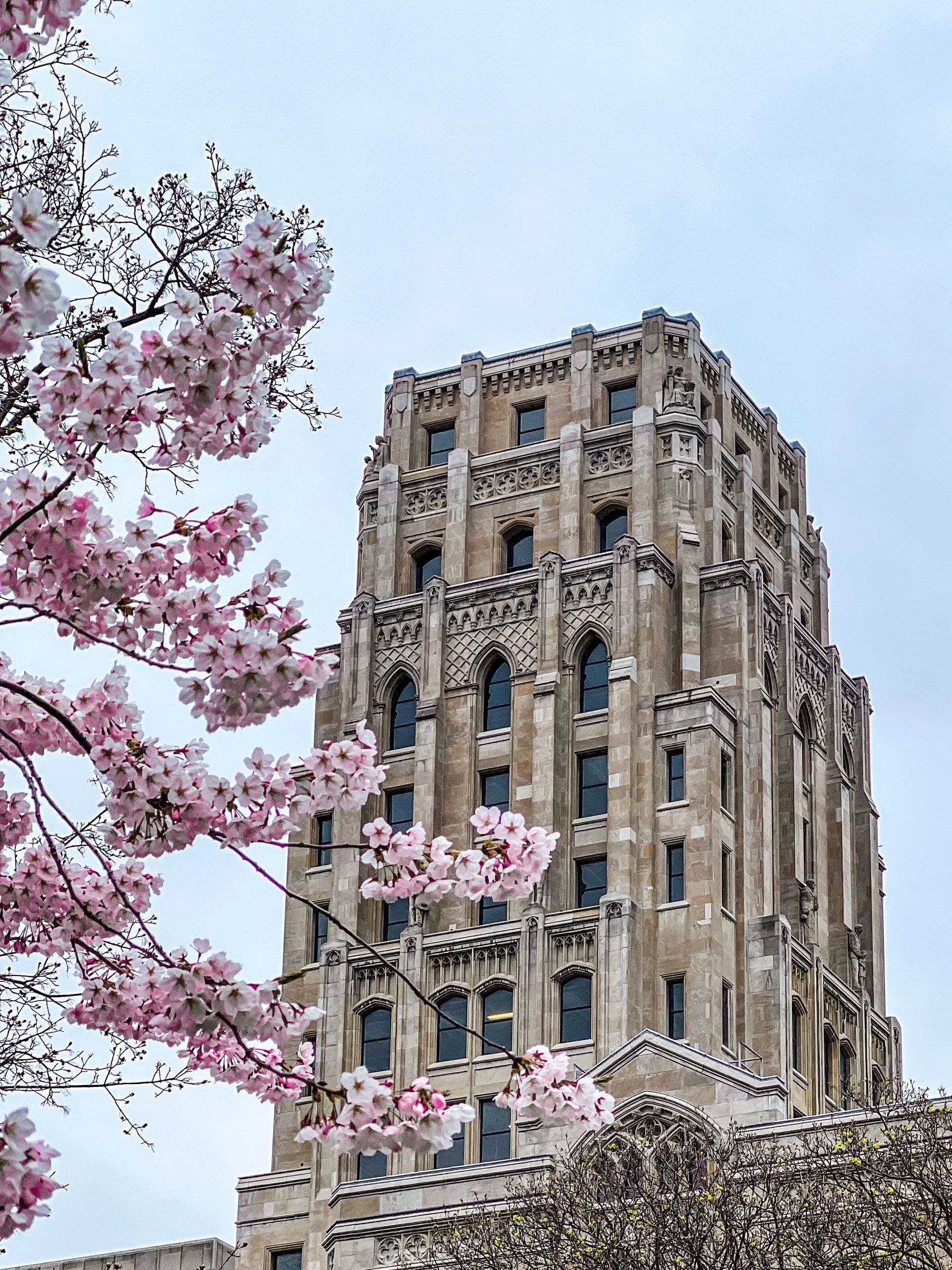 Canstudies - Estude e trabalhe em Toronto