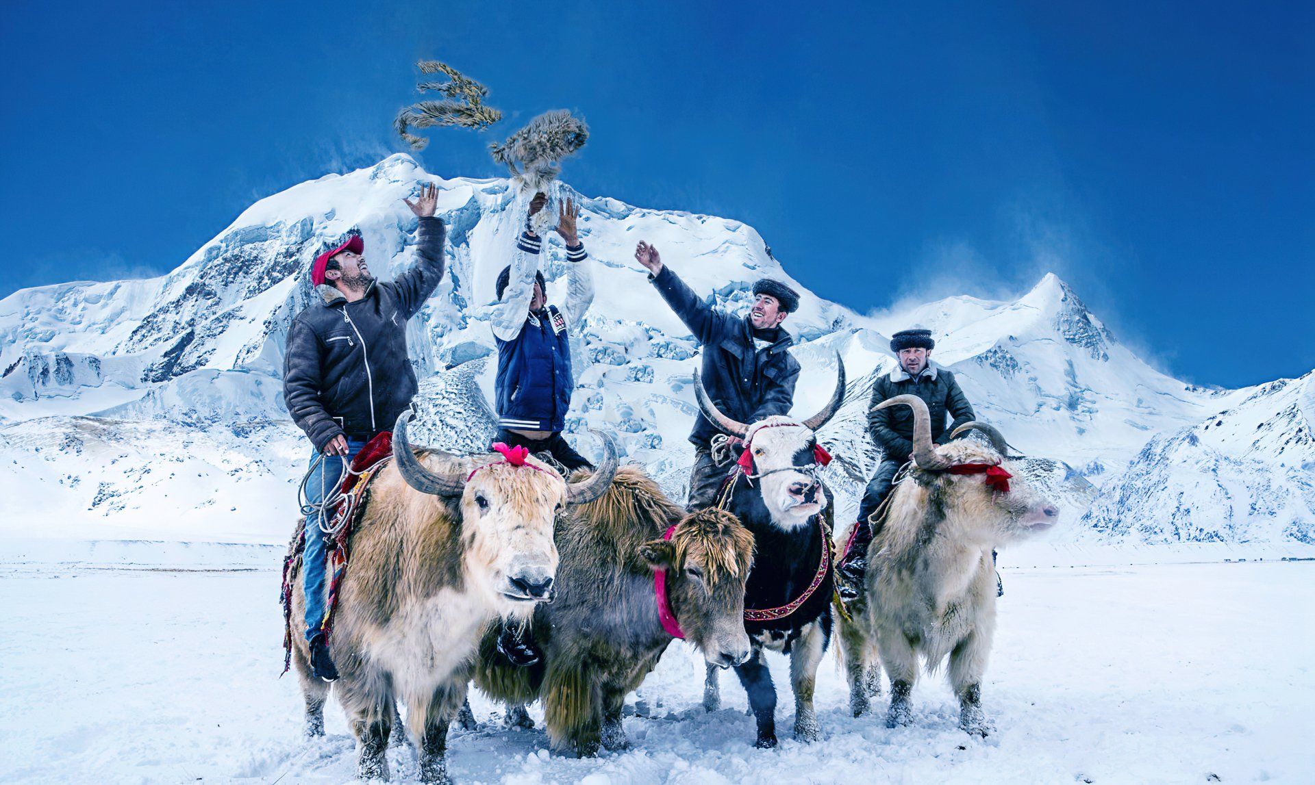 A group of people are riding yaks in the snow.