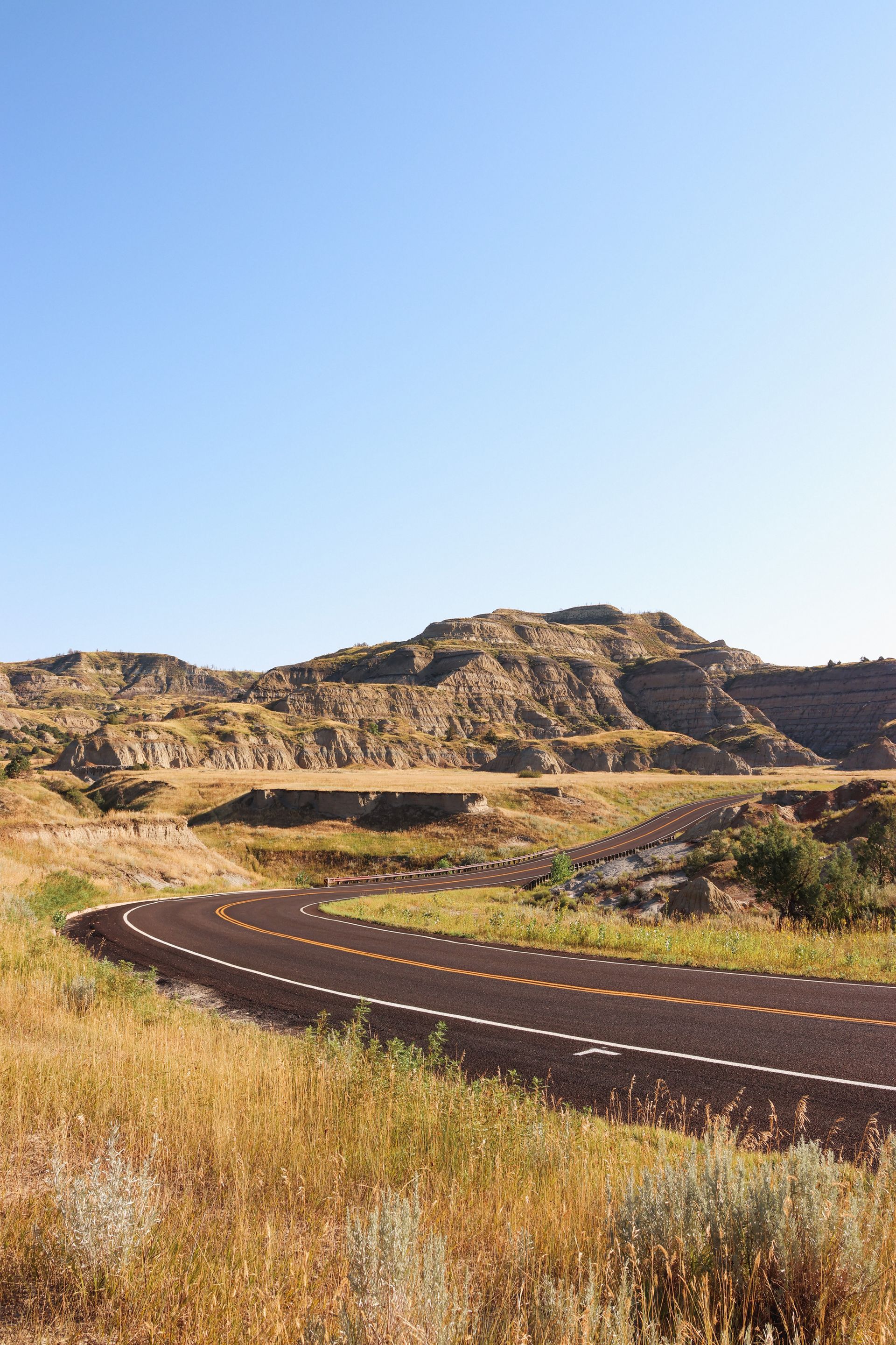 A curvy road in the middle of a field with mountains in the background.