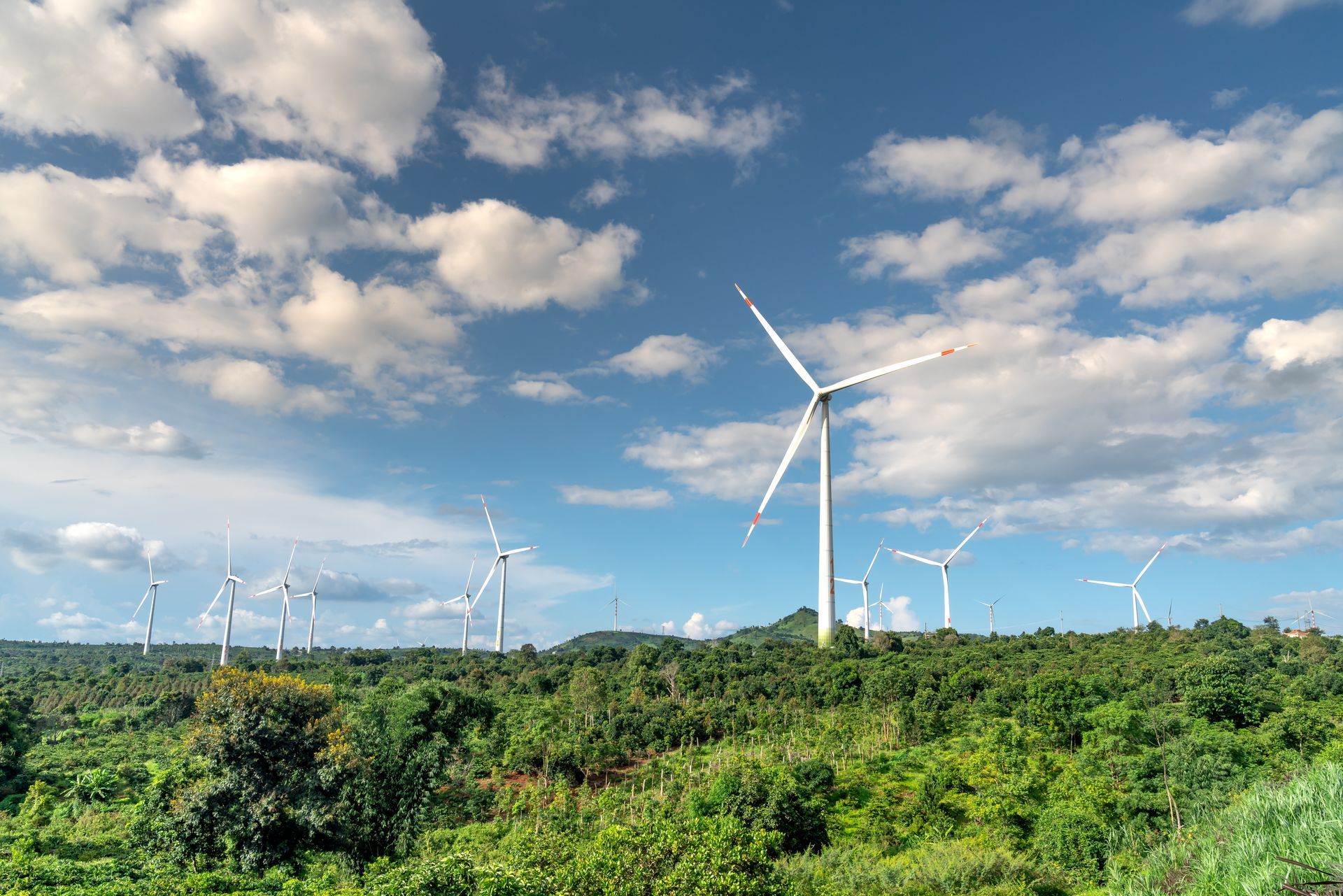 A group of wind turbines are sitting on top of a hill in the middle of a forest.