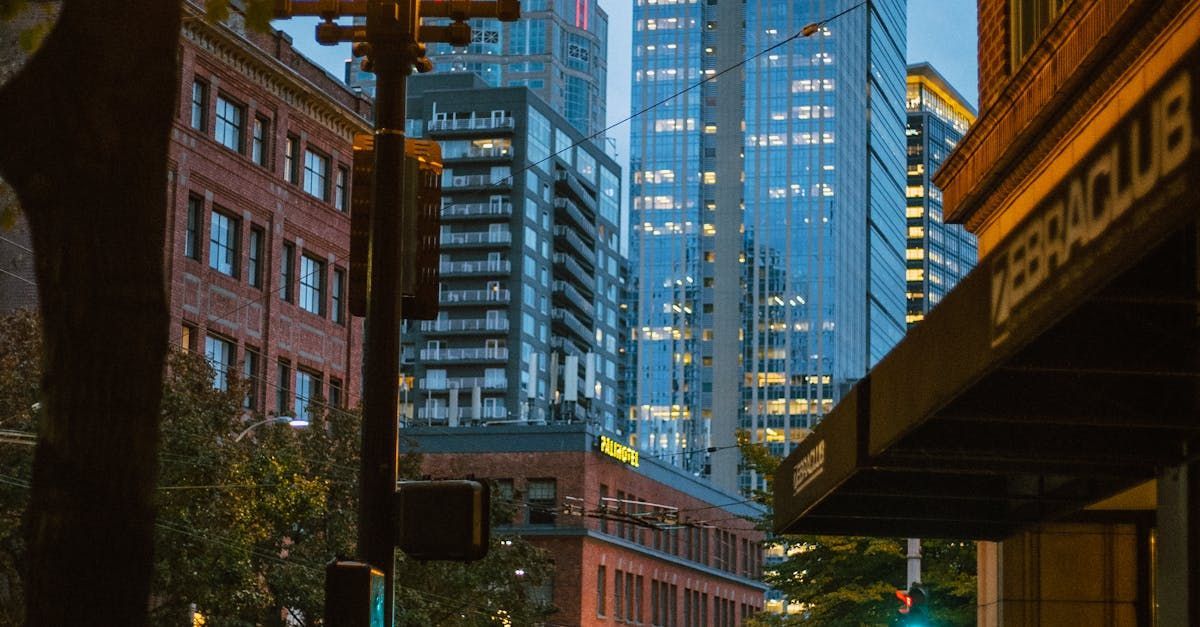 A city street with a lot of tall buildings and trees at night.