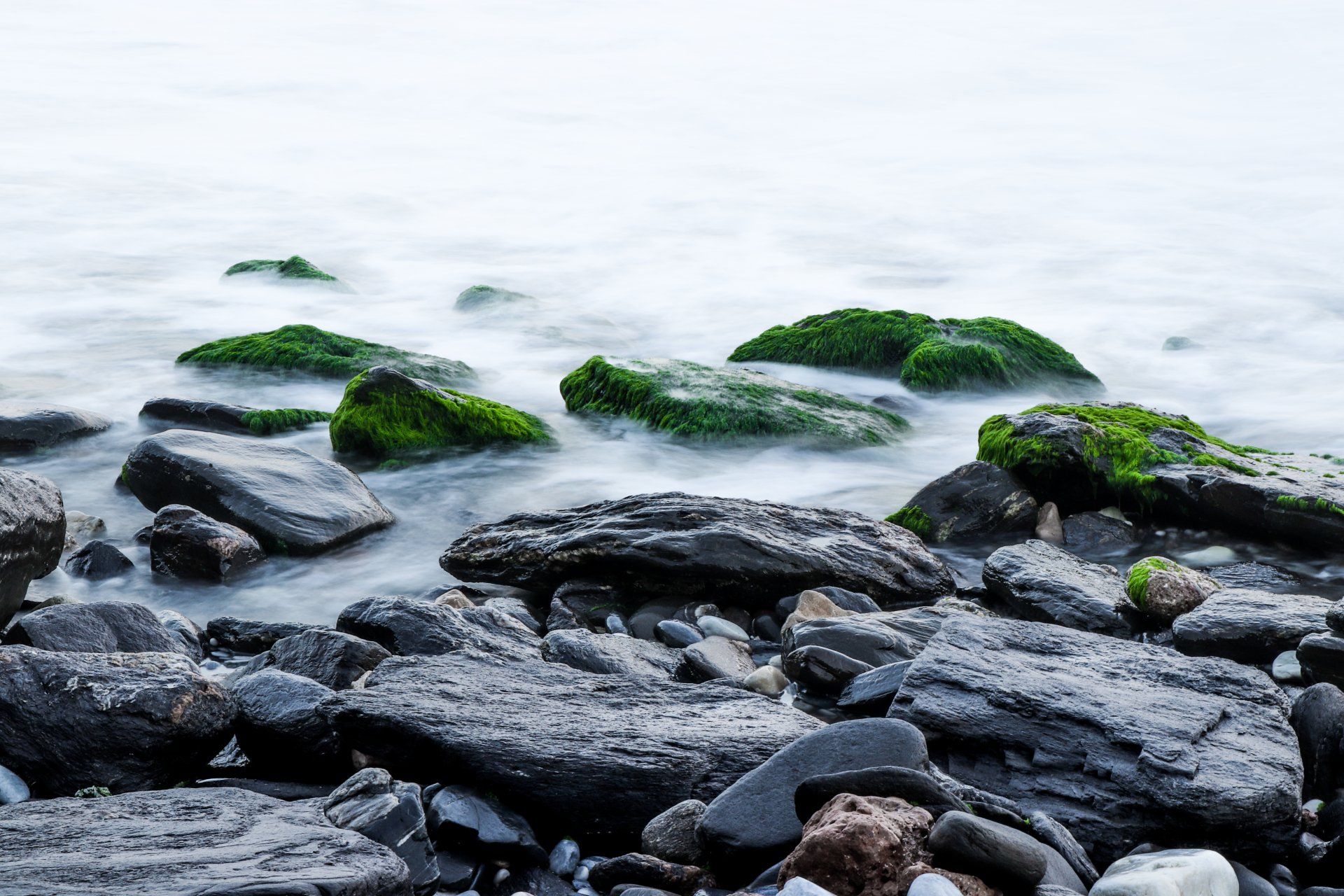 a rocky shoreline with moss growing on the rocks