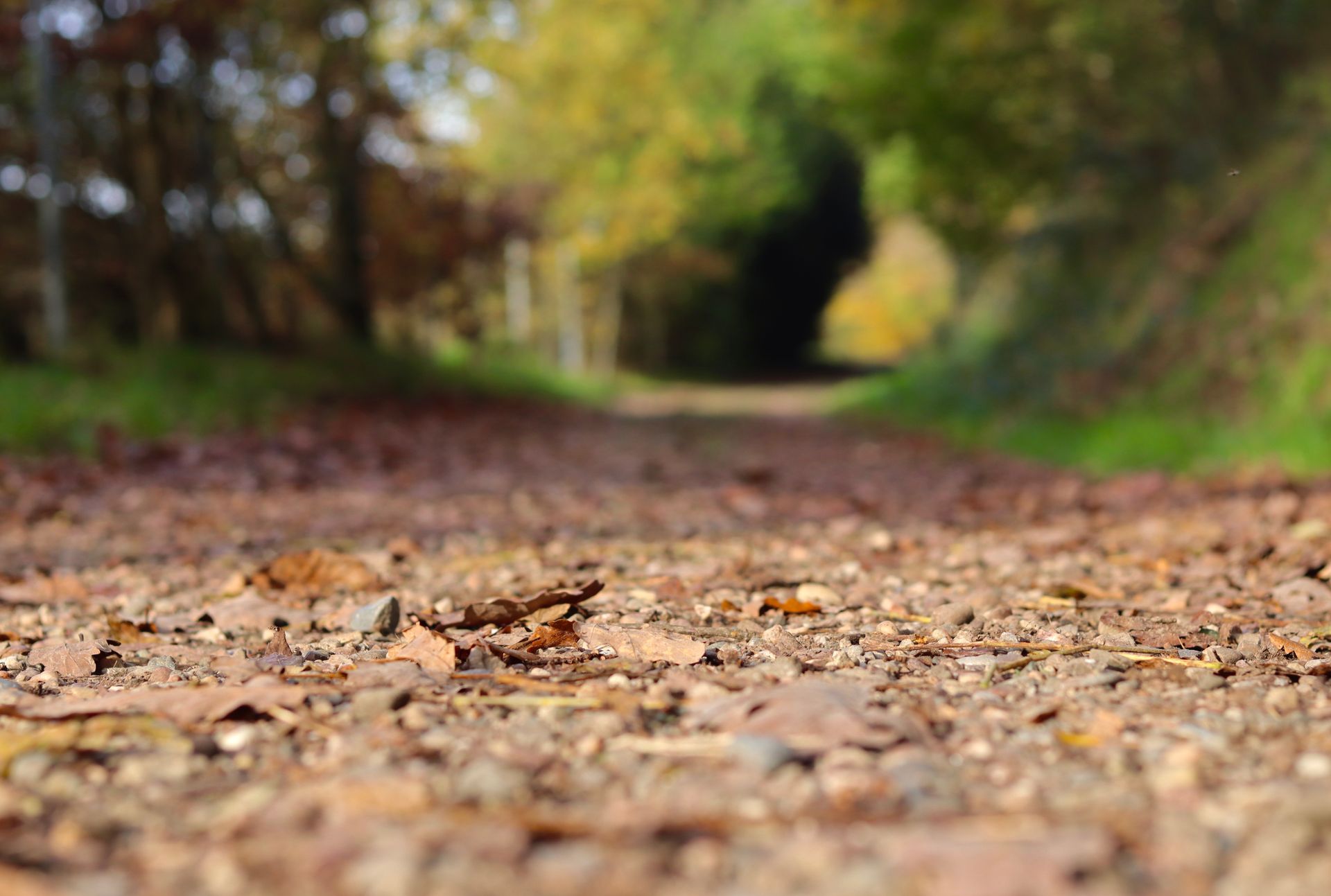 Slow Down on the Dirt Roads