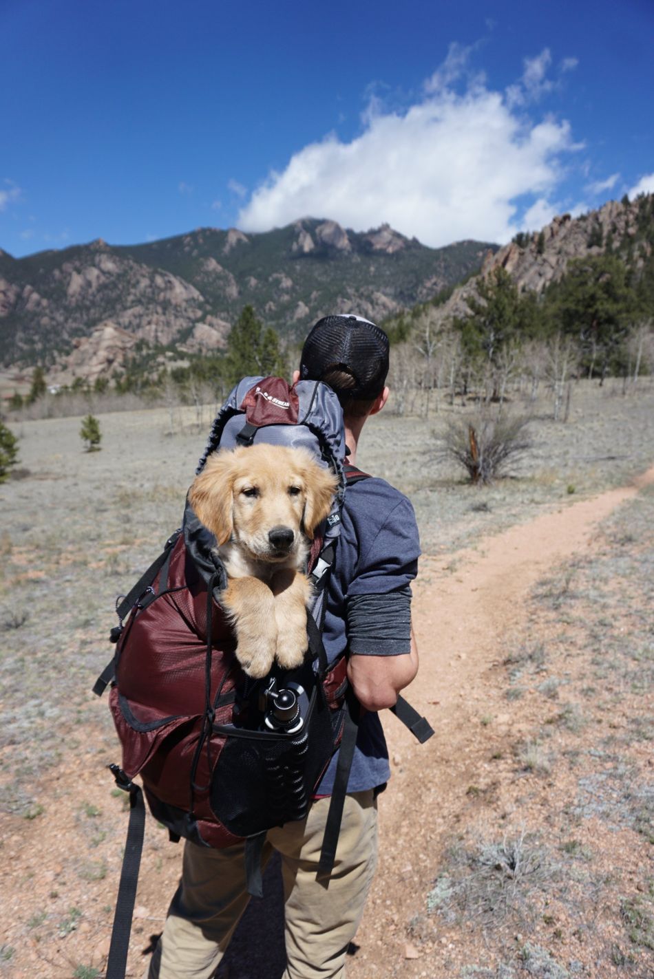 man hiking with dog
