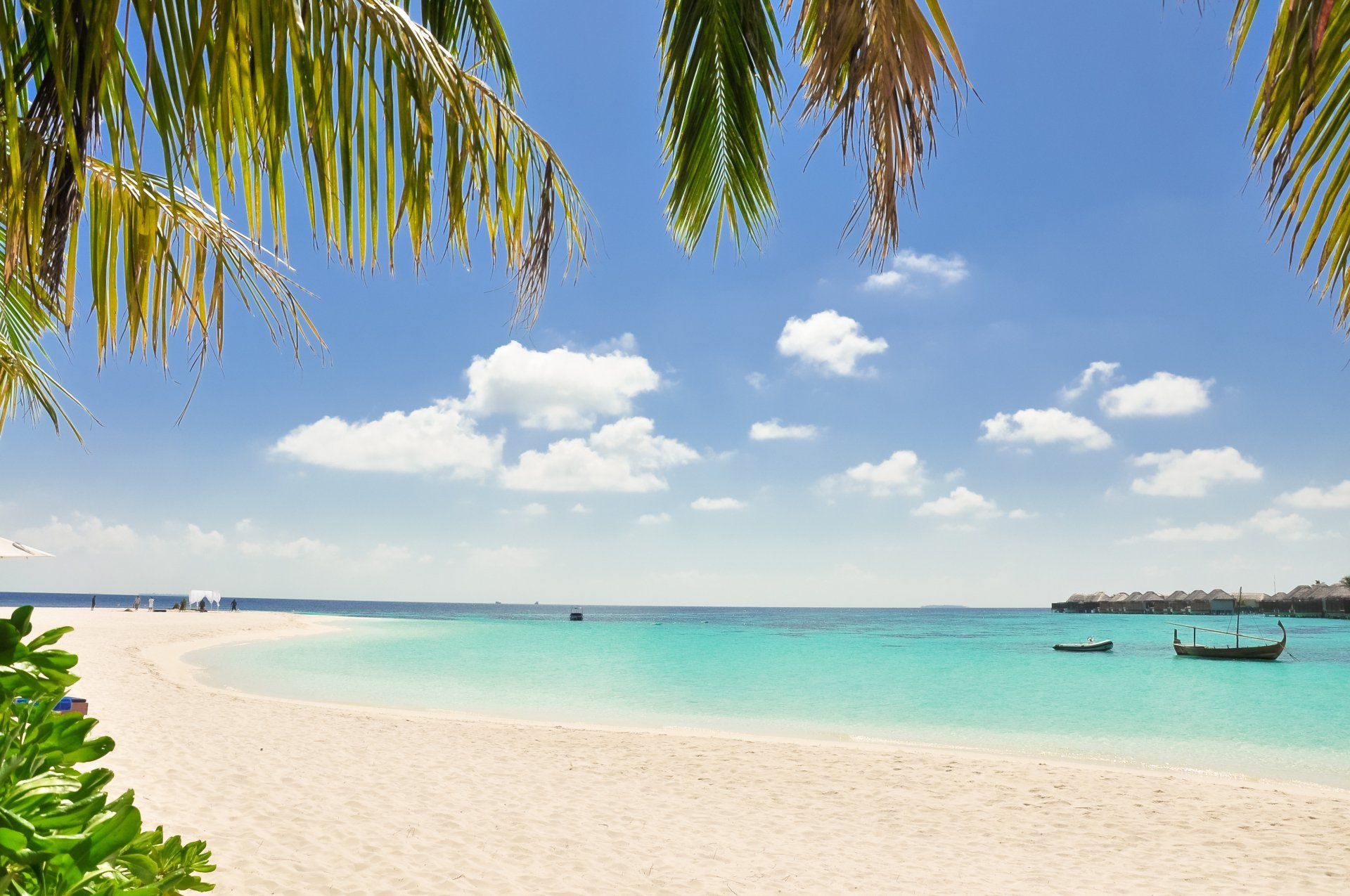 A pristine beach in Fiji with  white sands framed by palm trees and a turquoise ocean