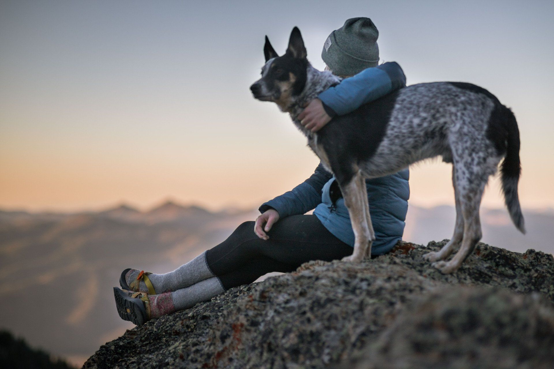 Single in montagna con il cane