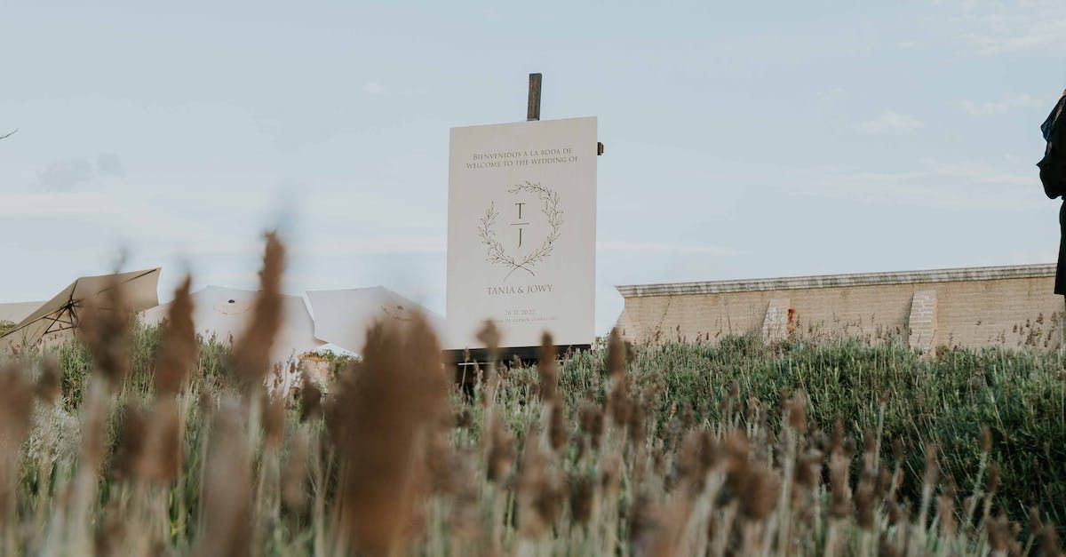 A white sign is sitting in the middle of a field of tall grass.