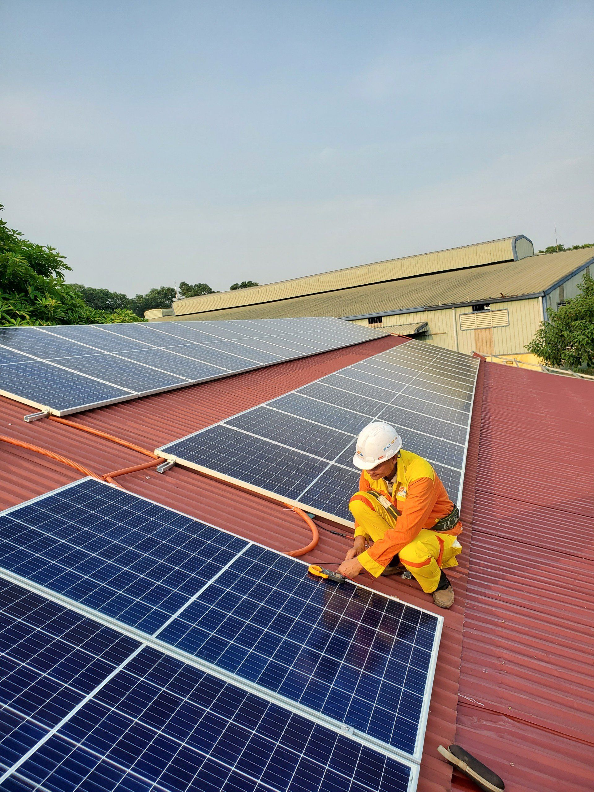 Key Considerations for Choosing Solar Panels