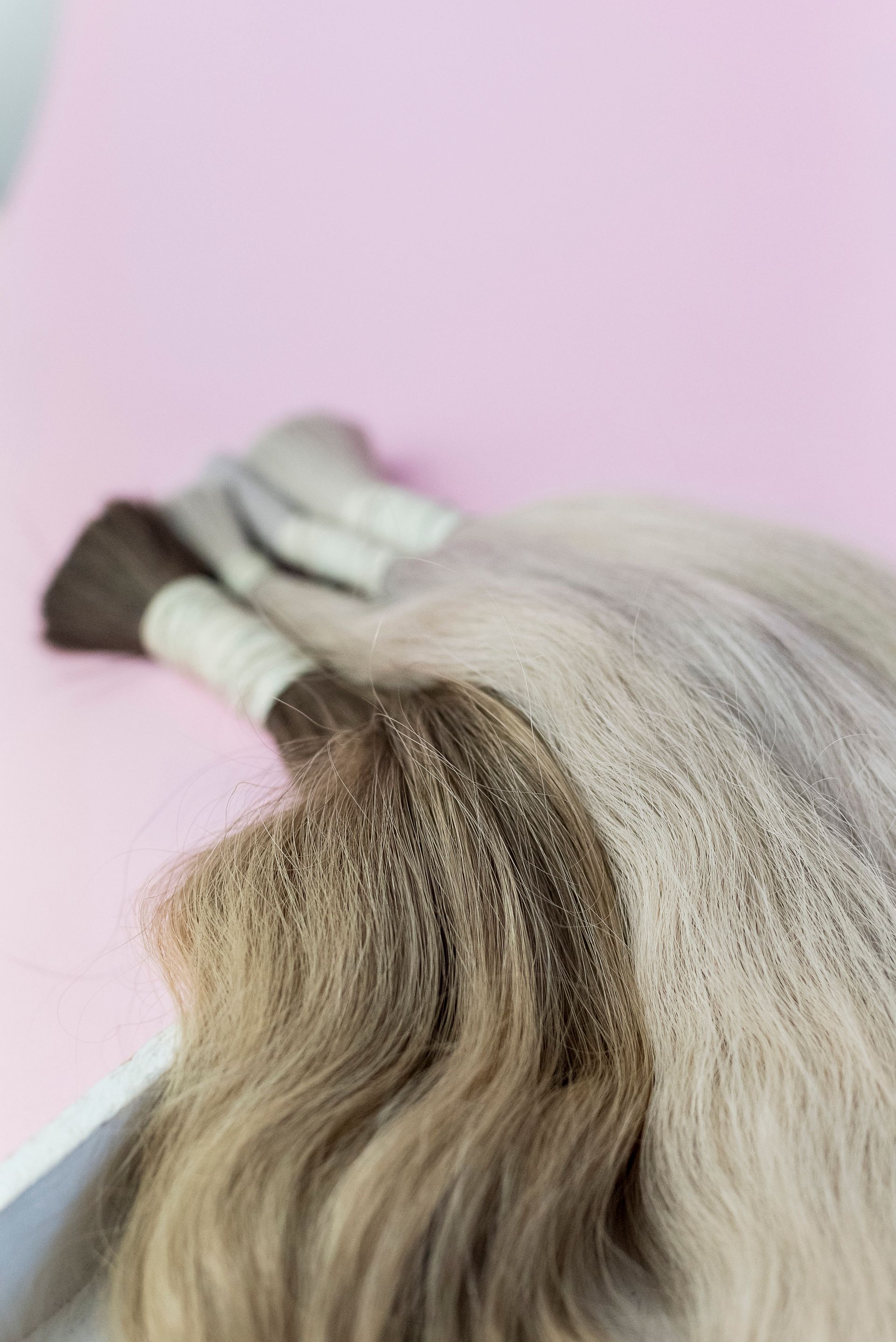 A close up of a bunch of hair on a pink surface.