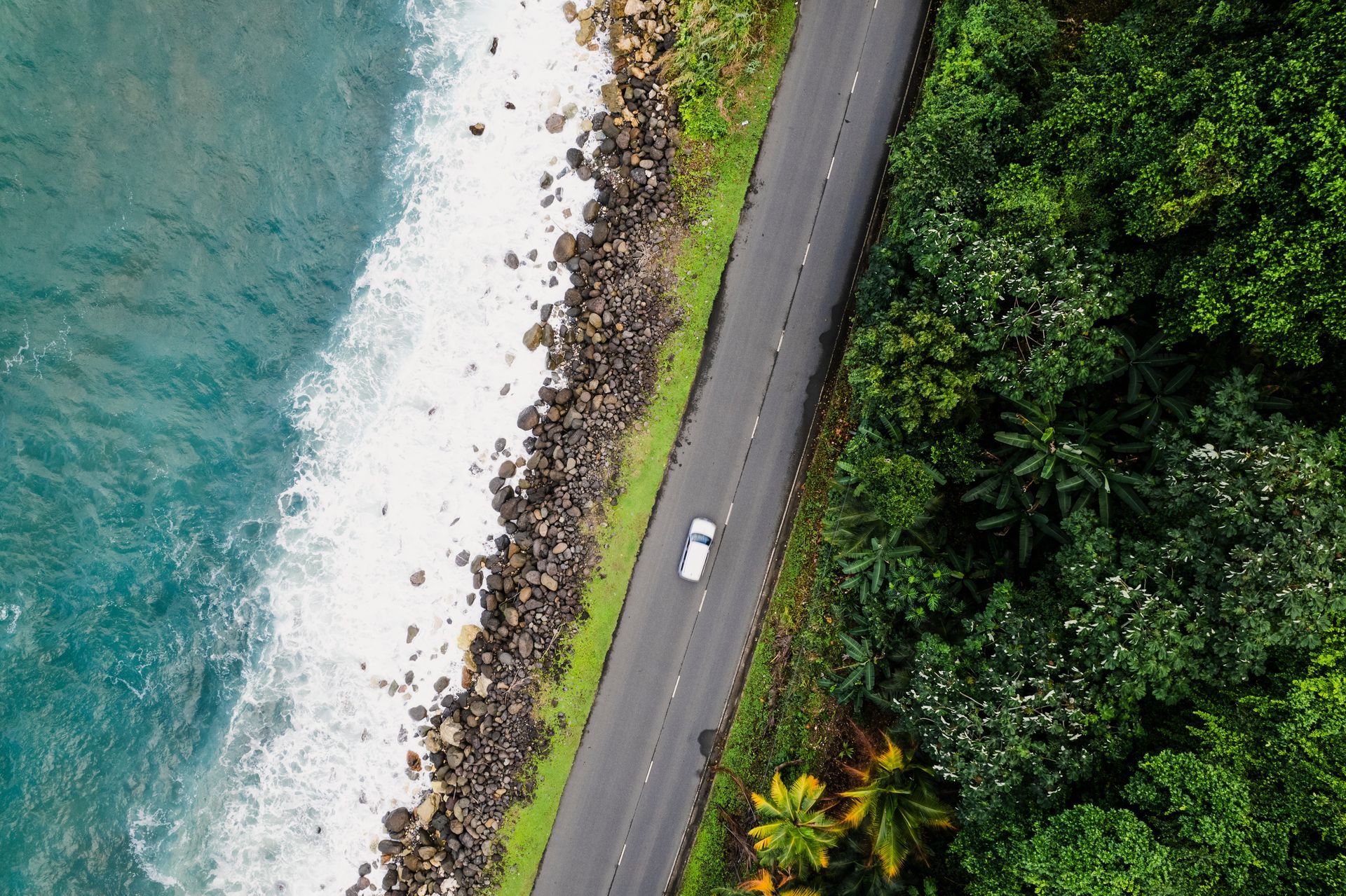 Road between ocean and lush green trees; white car travels.