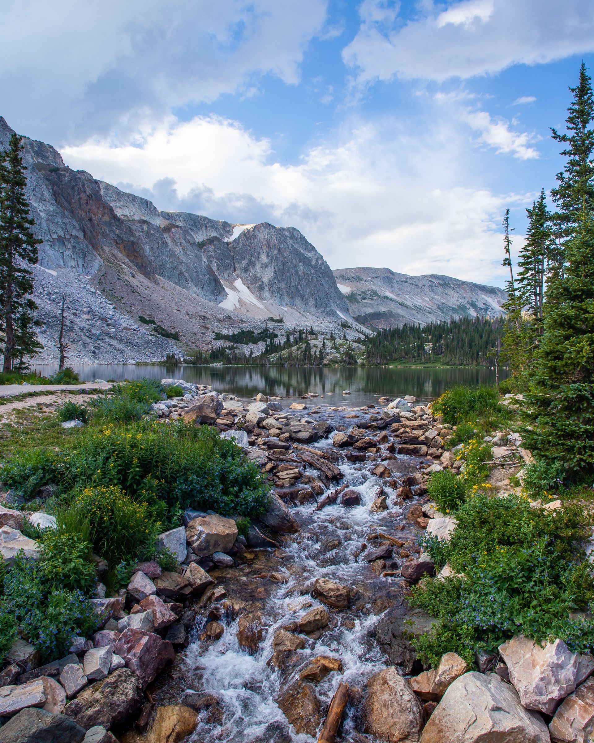 A river flowing through a rocky landscape with mountains in the background.