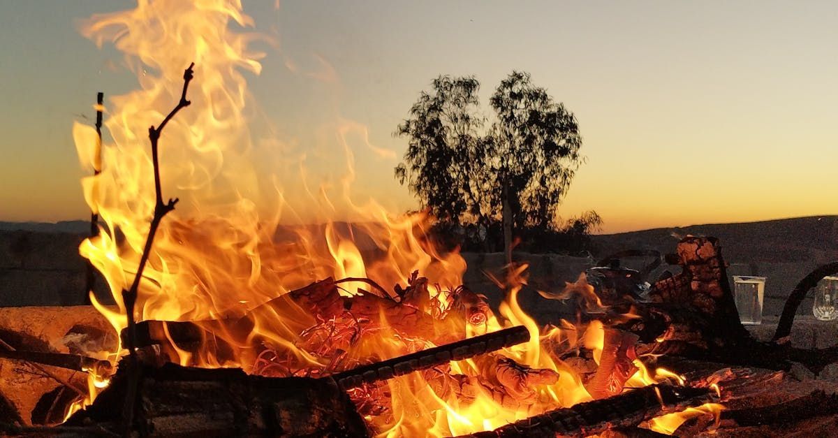 Brush Fire 