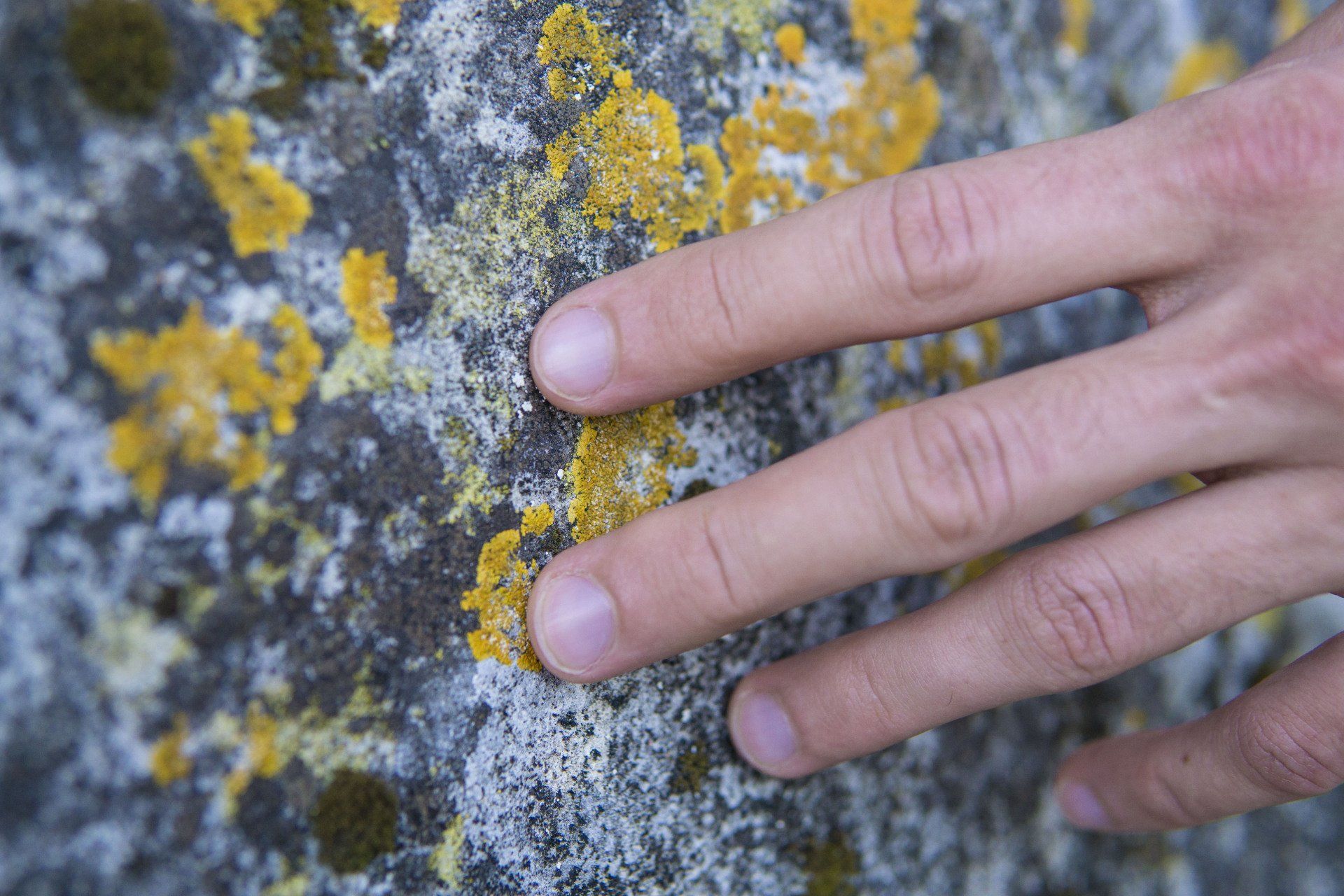 a person's hand checking the moss on the wall