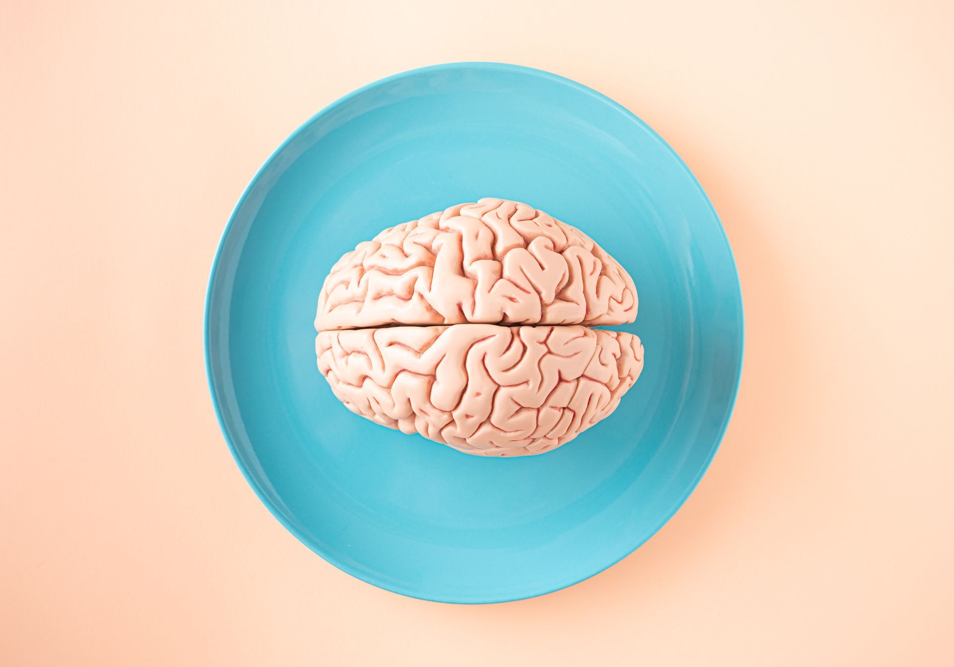 A brain is on a blue plate on a pink background.