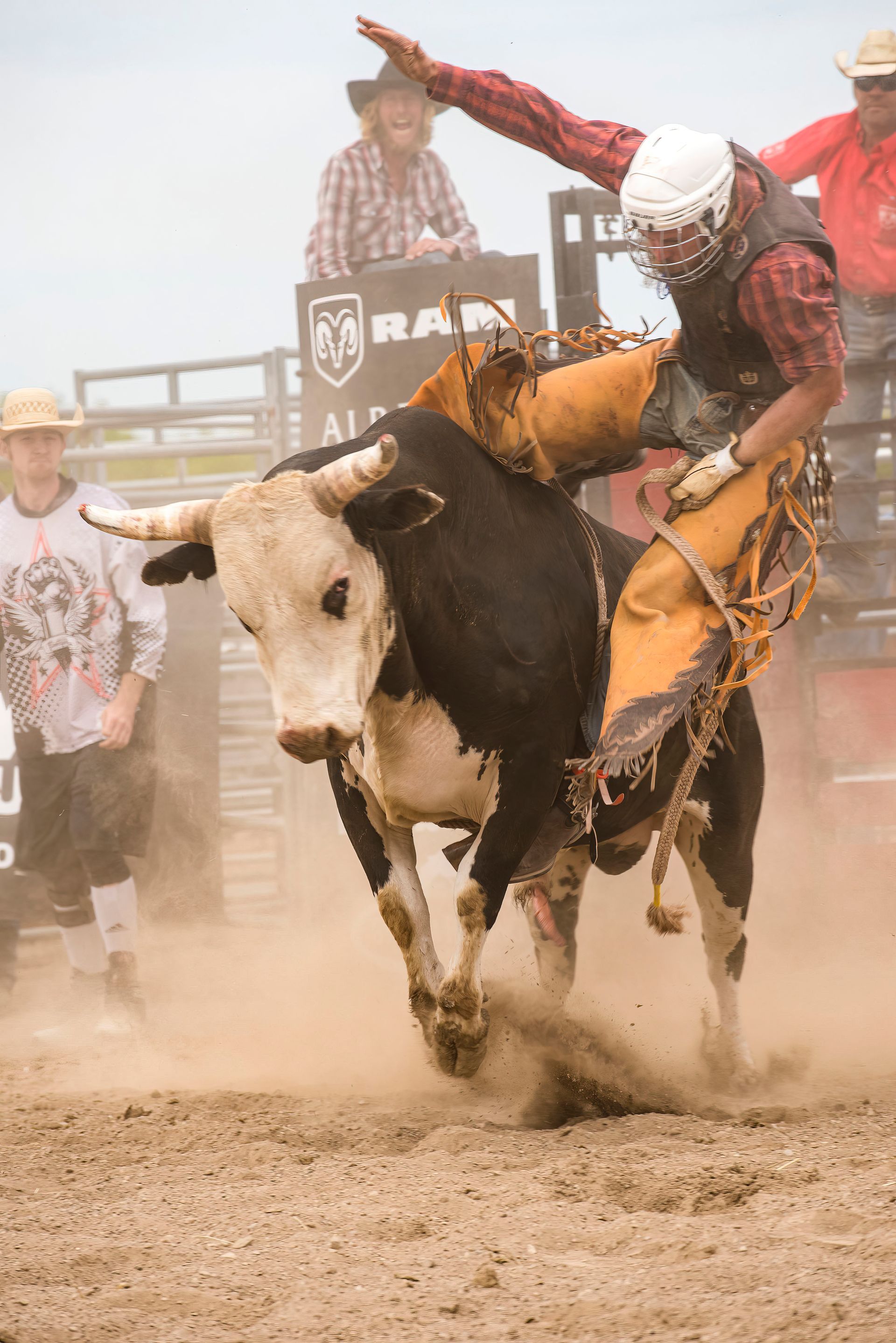 bull bucking off rider at rodeo