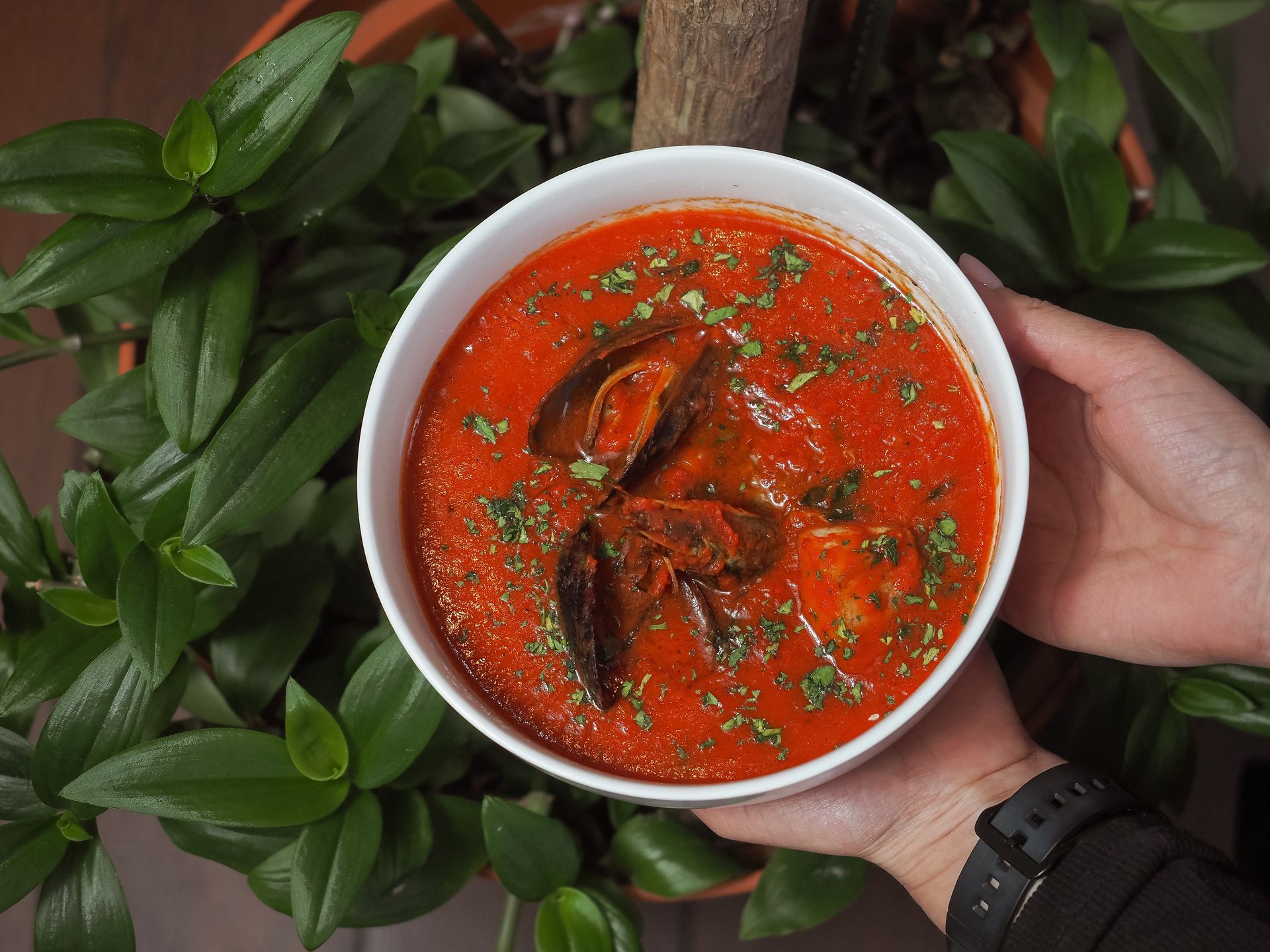 A person is holding a bowl of soup in their hand.