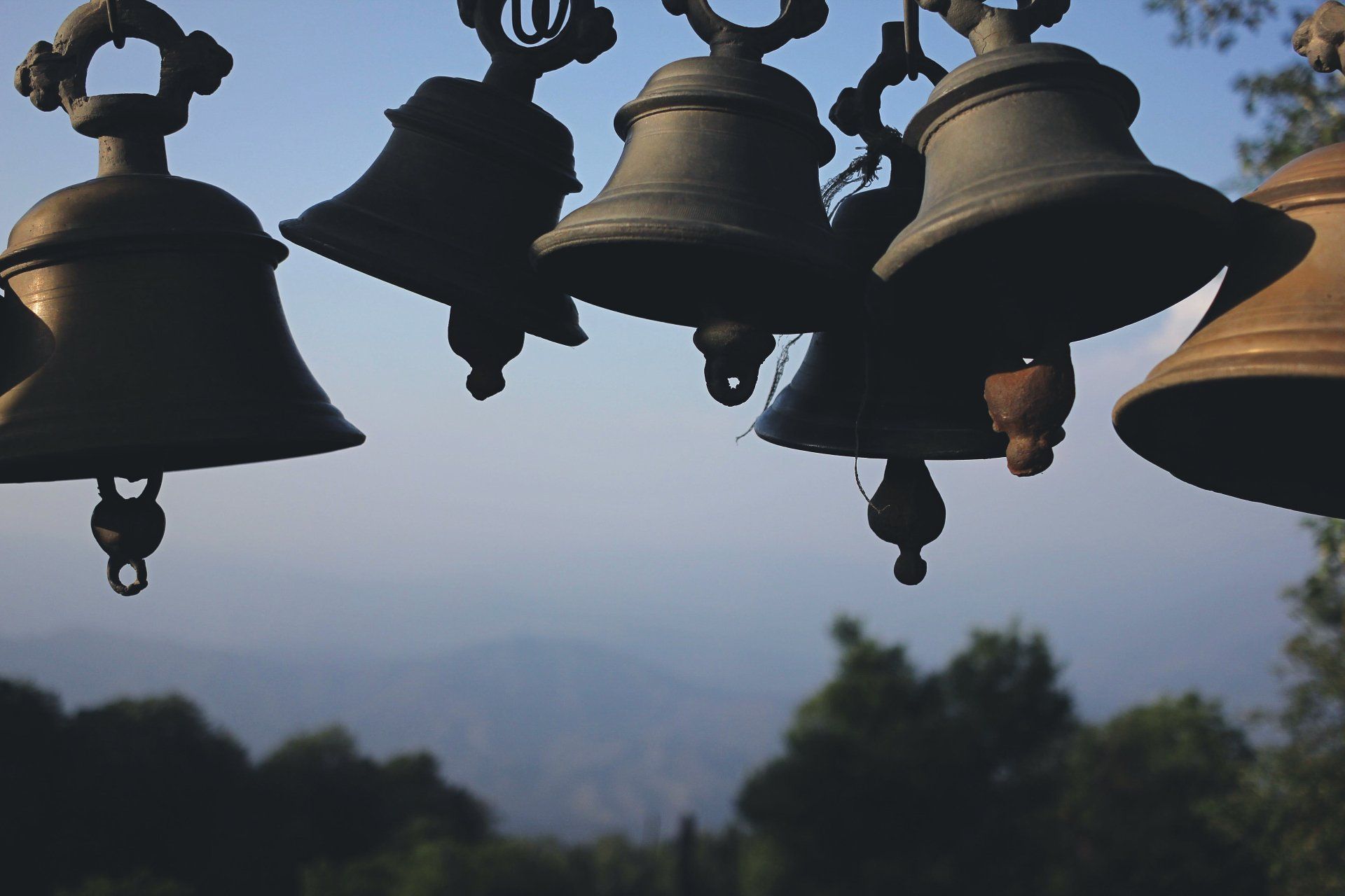 A row of bells hanging from a rope with trees in the background