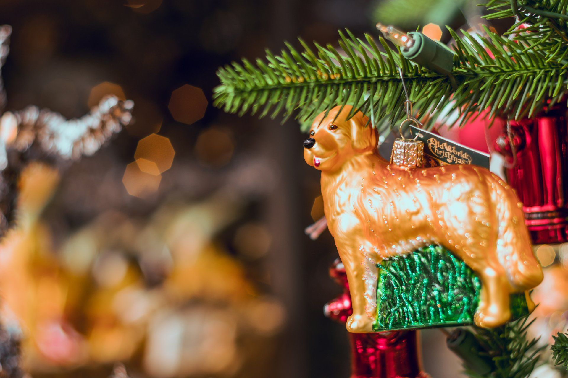 Christmas Tree Dog Decoration