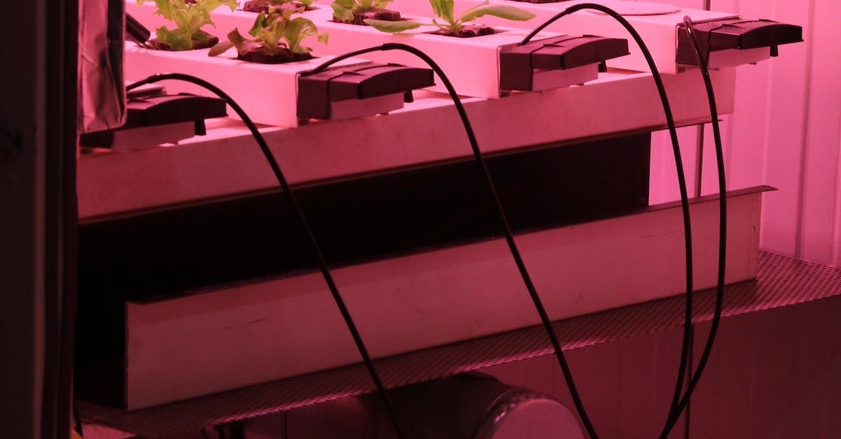 A bunch of wires are connected to a machine that is growing plants.