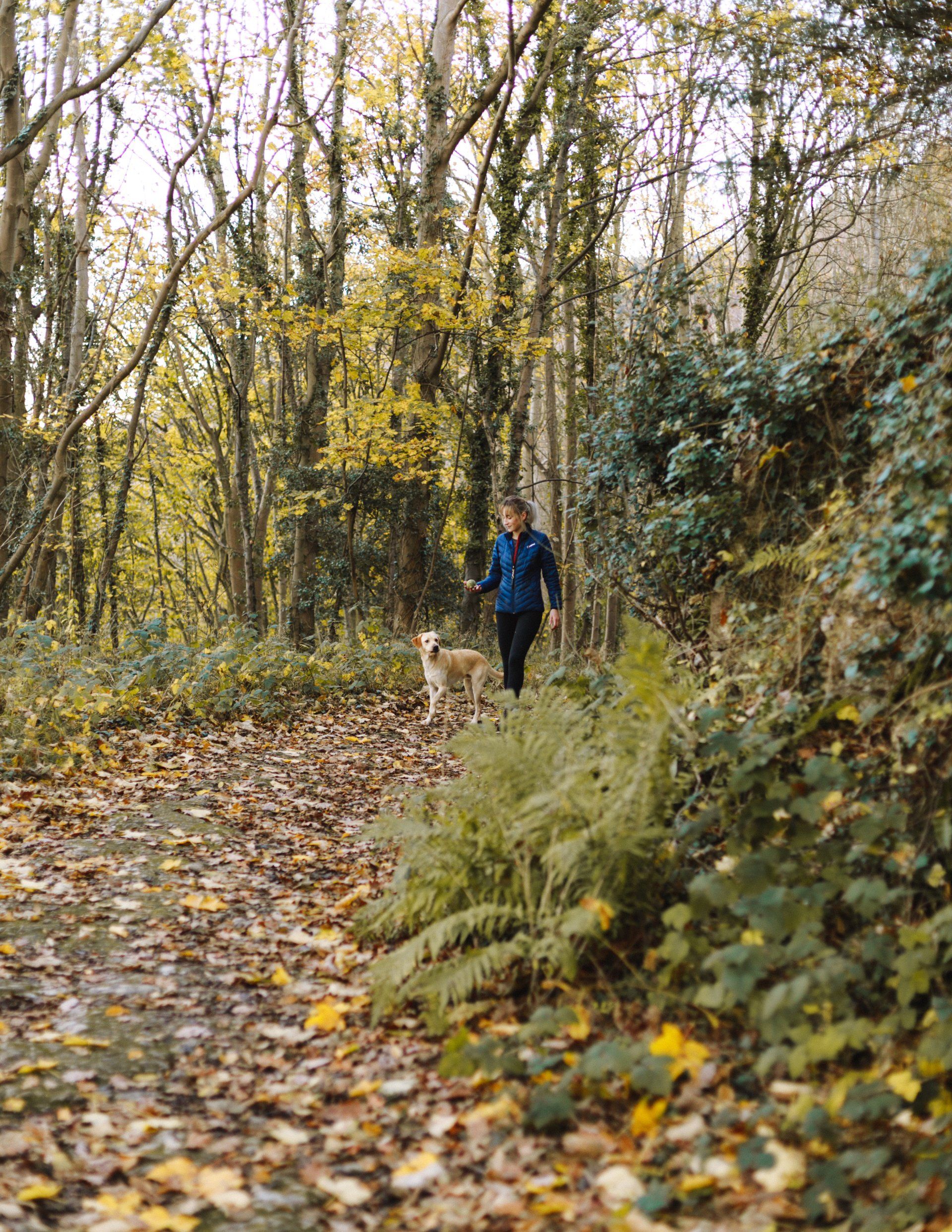 A man is walking a dog on a path in the woods.