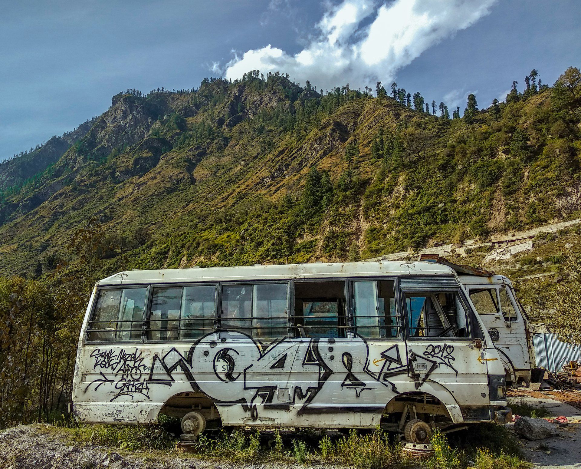 An old van, spray painted, with the windows open or broken with weeds growing all around