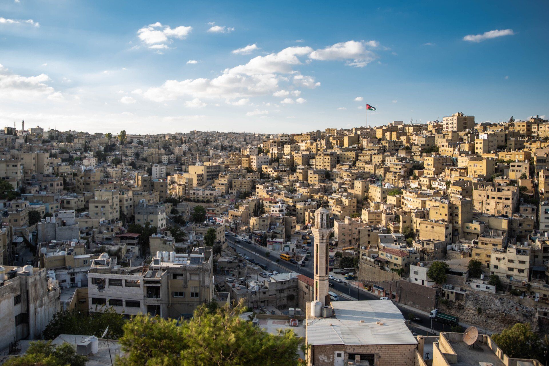 An aerial view of a city with a bird flying overhead.